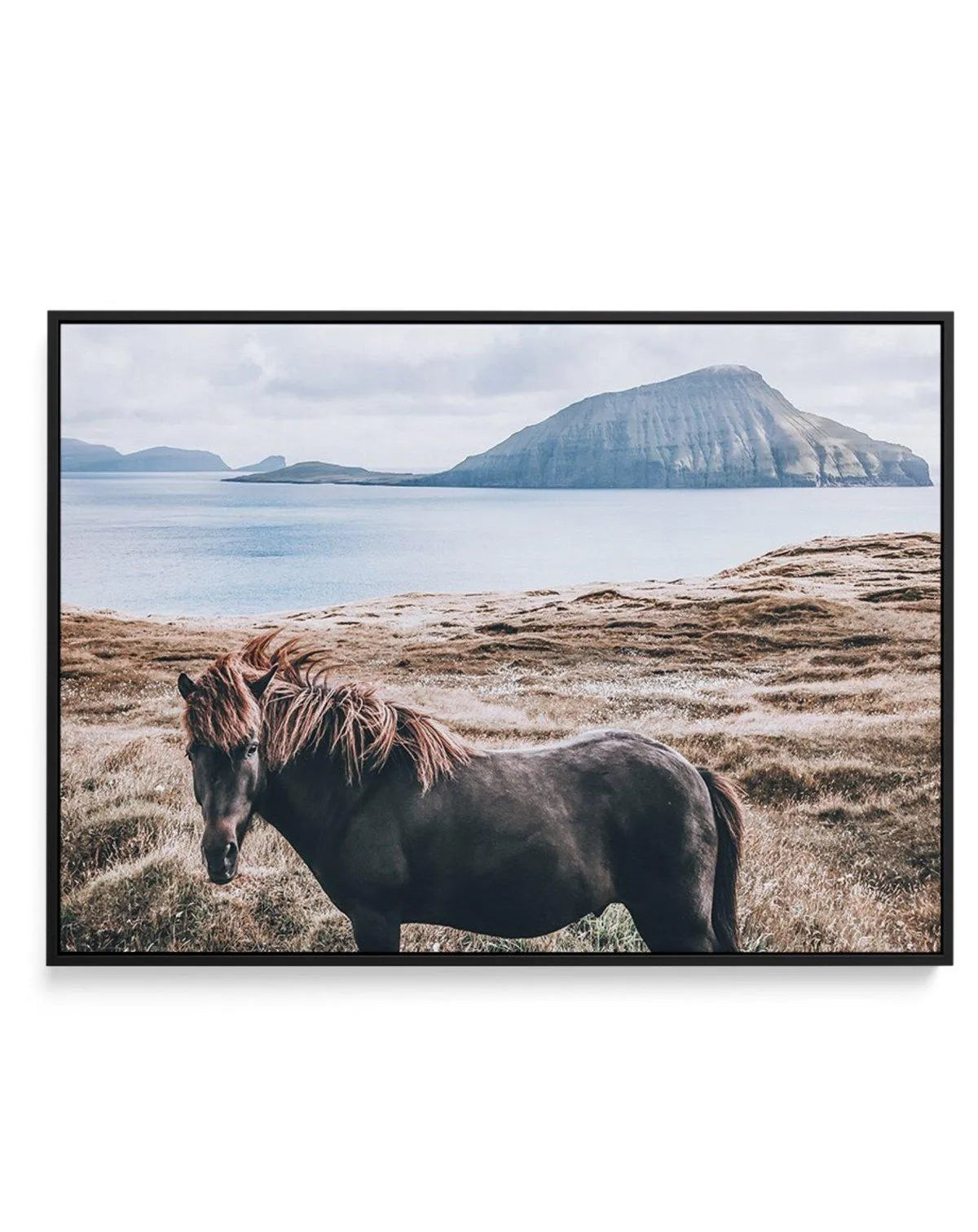 Island Horse | Framed Canvas-CANVAS-You can shop wall art online with Olive et Oriel for everything from abstract art to fun kids wall art. Our beautiful modern art prints and canvas art are available from large canvas prints to wall art paintings and our proudly Australian artwork collection offers only the highest quality framed large wall art and canvas art Australia - You can buy fashion photography prints or Hampton print posters and paintings on canvas from Olive et Oriel and have them del