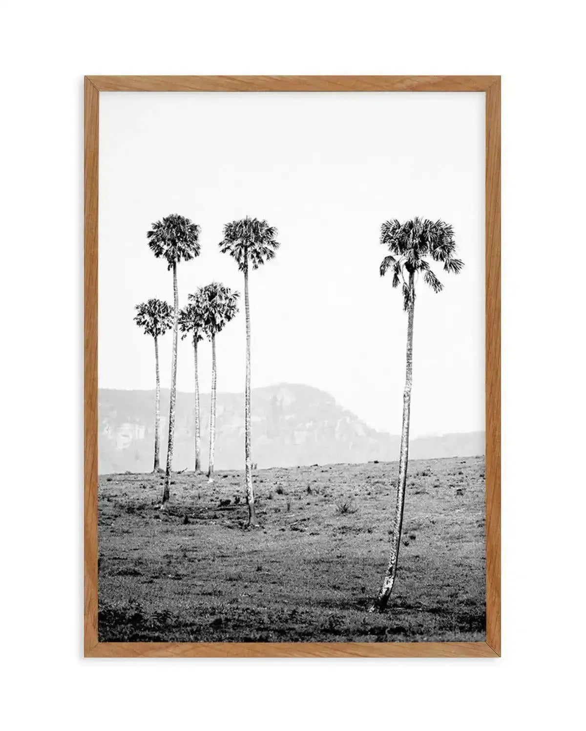 Island Luxe IV | The Lost Palms Art Print-PRINT-Olive et Oriel-Olive et Oriel-50x70 cm | 19.6" x 27.5"-Walnut-With White Border-Buy-Australian-Art-Prints-Online-with-Olive-et-Oriel-Your-Artwork-Specialists-Austrailia-Decorate-With-Coastal-Photo-Wall-Art-Prints-From-Our-Beach-House-Artwork-Collection-Fine-Poster-and-Framed-Artwork
