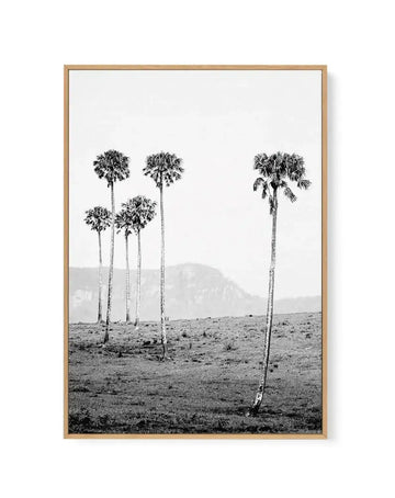 Island Luxe IV | The Lost Palms | Framed Canvas-CANVAS-You can shop wall art online with Olive et Oriel for everything from abstract art to fun kids wall art. Our beautiful modern art prints and canvas art are available from large canvas prints to wall art paintings and our proudly Australian artwork collection offers only the highest quality framed large wall art and canvas art Australia - You can buy fashion photography prints or Hampton print posters and paintings on canvas from Olive et Orie