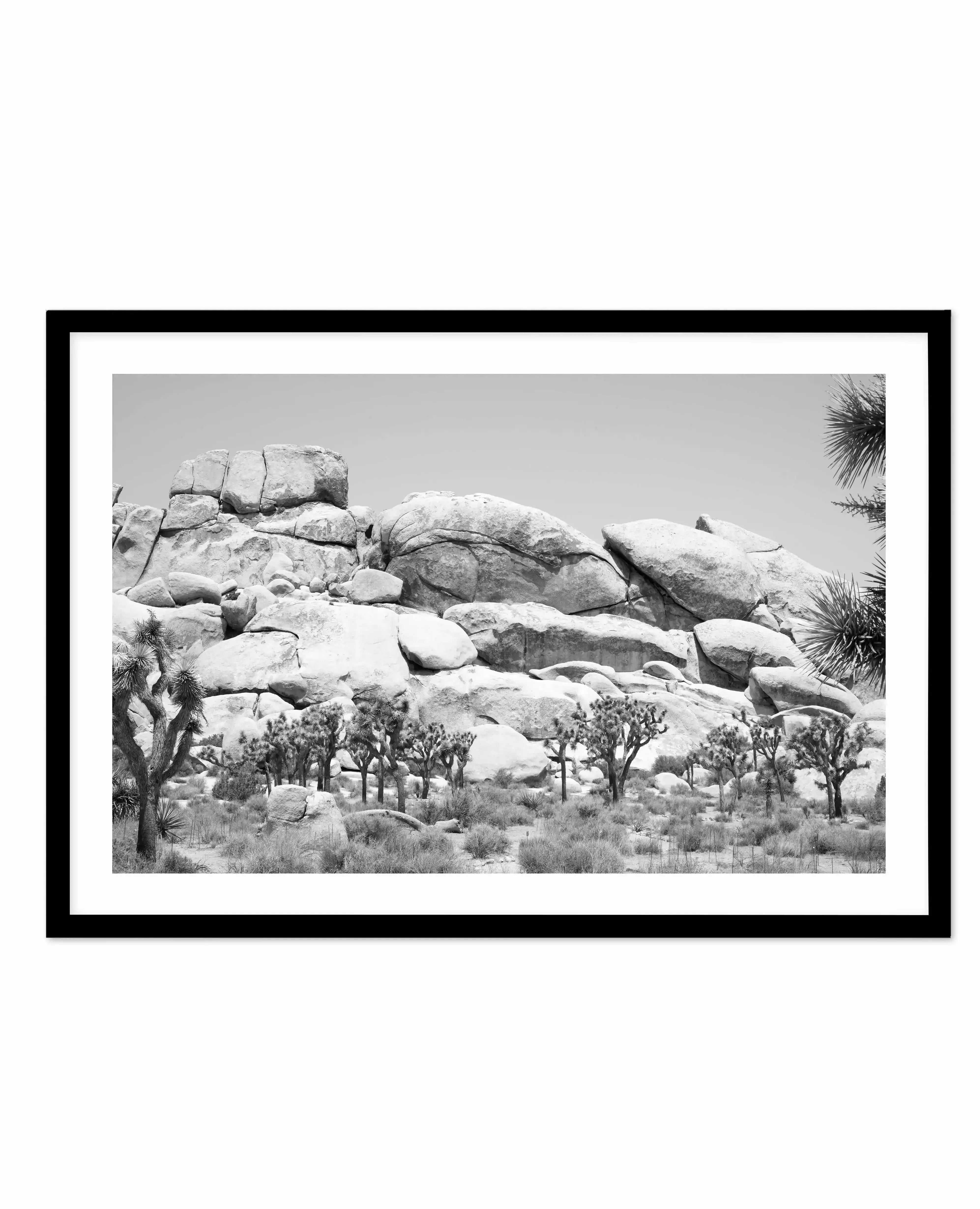 Joshua Tree I | B&W Art Print-PRINT-Olive et Oriel-Olive et Oriel-A4 | 8.3" x 11.7" | 21 x 29.7cm-Black-With White Border-Buy-Australian-Art-Prints-Online-with-Olive-et-Oriel-Your-Artwork-Specialists-Austrailia-Decorate-With-Coastal-Photo-Wall-Art-Prints-From-Our-Beach-House-Artwork-Collection-Fine-Poster-and-Framed-Artwork