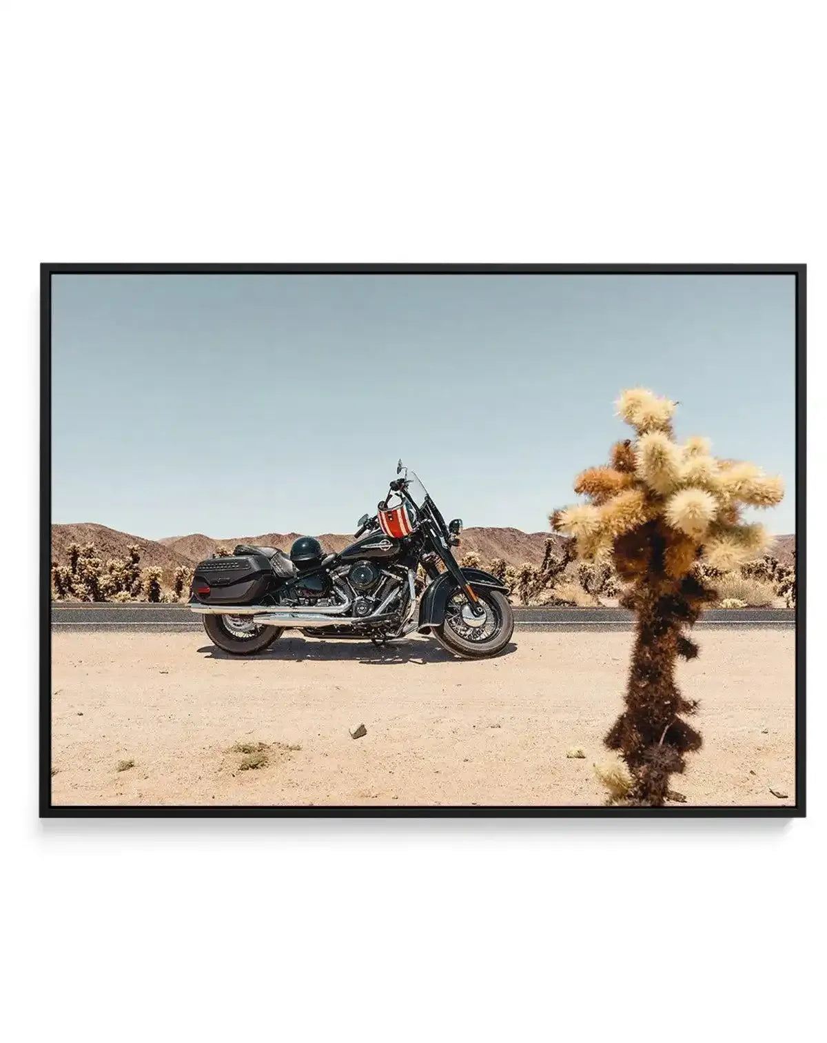 Joshua Tree by Tim Harris | Framed Canvas-CANVAS-You can shop wall art online with Olive et Oriel for everything from abstract art to fun kids wall art. Our beautiful modern art prints and canvas art are available from large canvas prints to wall art paintings and our proudly Australian artwork collection offers only the highest quality framed large wall art and canvas art Australia - You can buy fashion photography prints or Hampton print posters and paintings on canvas from Olive et Oriel and 