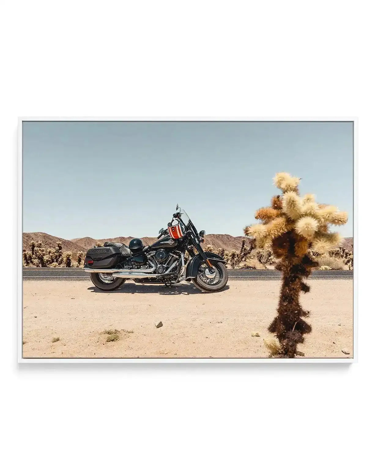 Joshua Tree by Tim Harris | Framed Canvas-CANVAS-You can shop wall art online with Olive et Oriel for everything from abstract art to fun kids wall art. Our beautiful modern art prints and canvas art are available from large canvas prints to wall art paintings and our proudly Australian artwork collection offers only the highest quality framed large wall art and canvas art Australia - You can buy fashion photography prints or Hampton print posters and paintings on canvas from Olive et Oriel and 