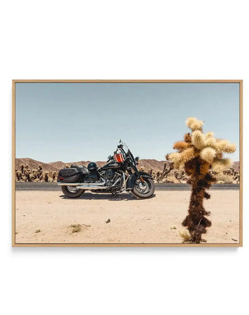 Framed canvas art print featuring a desert landscape photograph with a black cruiser motorcycle parked on sandy ground in the center. A distinctive Joshua tree with pale and golden-brown spiky branches frames the right foreground. Arid mountains and scattered desert vegetation create the background beneath a clear blue sky. The photograph has warm, natural tones with beige sand, deep blacks in the motorcycle, and muted earth colors. Presented in a natural wood frame with clean lines.