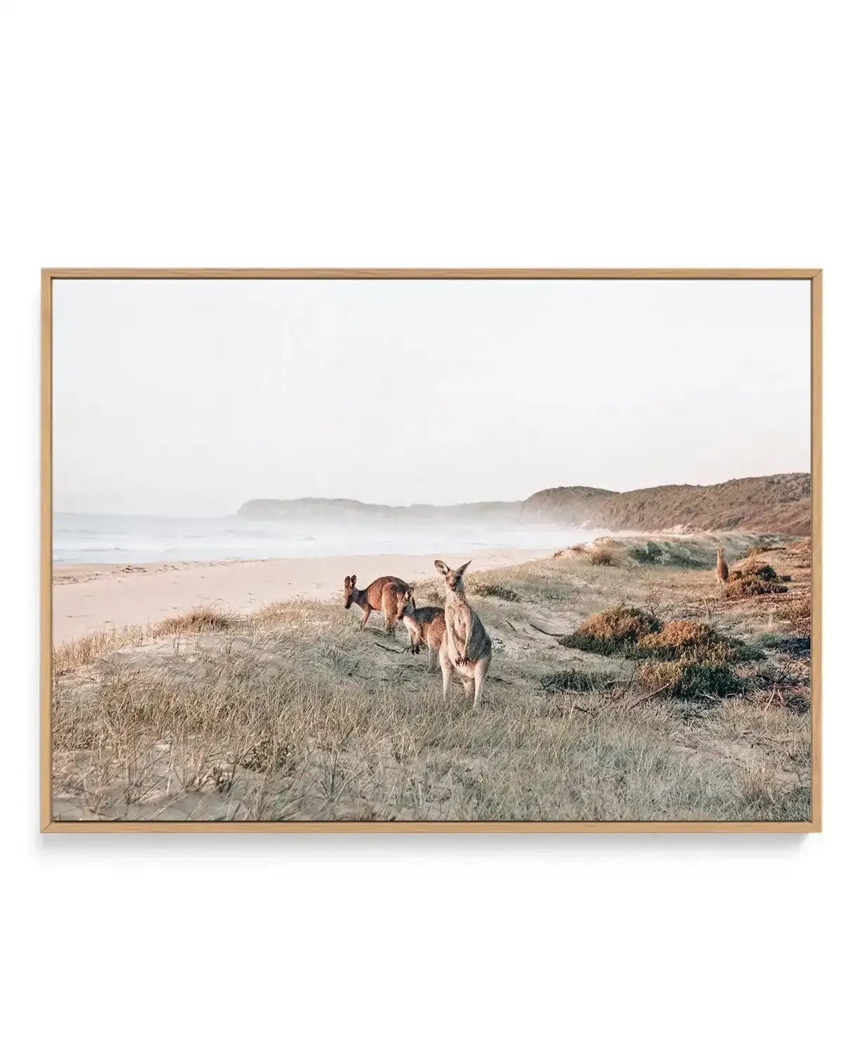 Kangaroos at Dusk | Framed Canvas-CANVAS-You can shop wall art online with Olive et Oriel for everything from abstract art to fun kids wall art. Our beautiful modern art prints and canvas art are available from large canvas prints to wall art paintings and our proudly Australian artwork collection offers only the highest quality framed large wall art and canvas art Australia - You can buy fashion photography prints or Hampton print posters and paintings on canvas from Olive et Oriel and have the