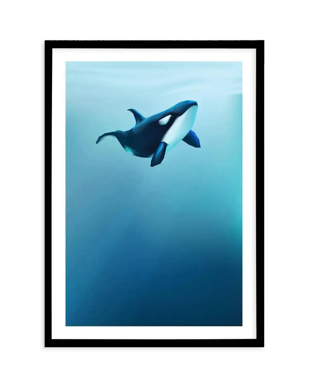 Killer | Graphic Whales Collection Art Print-PRINT-Olive et Oriel-Olive et Oriel-A5 | 5.8" x 8.3" | 14.8 x 21cm-Black-With White Border-Buy-Australian-Art-Prints-Online-with-Olive-et-Oriel-Your-Artwork-Specialists-Austrailia-Decorate-With-Coastal-Photo-Wall-Art-Prints-From-Our-Beach-House-Artwork-Collection-Fine-Poster-and-Framed-Artwork