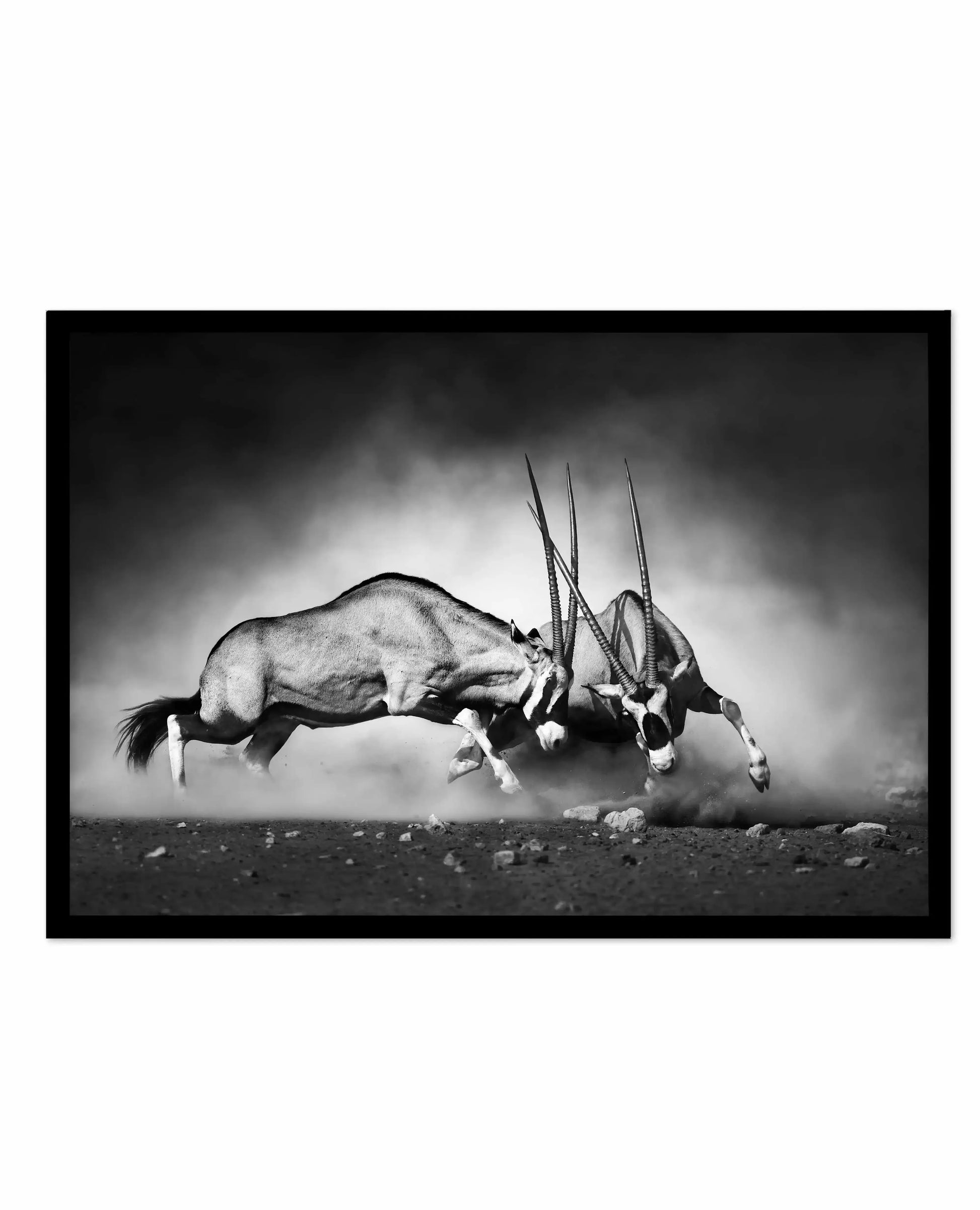 La Bataille Art Print-PRINT-Olive et Oriel-Olive et Oriel-A5 | 5.8" x 8.3" | 14.8 x 21cm-Black-With White Border-Buy-Australian-Art-Prints-Online-with-Olive-et-Oriel-Your-Artwork-Specialists-Austrailia-Decorate-With-Coastal-Photo-Wall-Art-Prints-From-Our-Beach-House-Artwork-Collection-Fine-Poster-and-Framed-Artwork