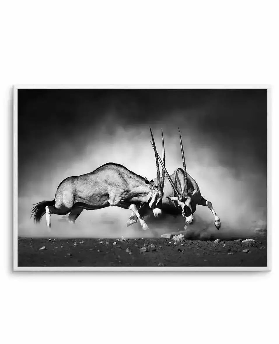 La Bataille Art Print-PRINT-Olive et Oriel-Olive et Oriel-A5 | 5.8" x 8.3" | 14.8 x 21cm-Unframed Art Print-With White Border-Buy-Australian-Art-Prints-Online-with-Olive-et-Oriel-Your-Artwork-Specialists-Austrailia-Decorate-With-Coastal-Photo-Wall-Art-Prints-From-Our-Beach-House-Artwork-Collection-Fine-Poster-and-Framed-Artwork