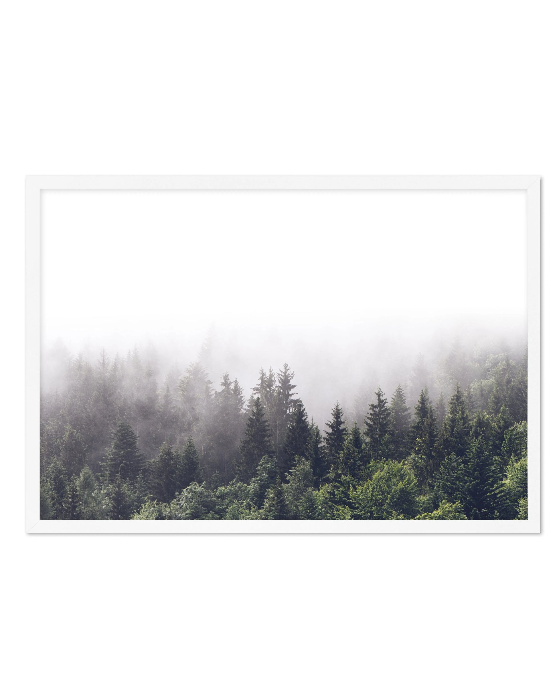 La ForâˆšÂ¢Ã€Ãœâ‰ˆÂ°âˆšÃ‰â€šÃ„âˆžâˆšÂ¢Ã€Ãœâ€šÃ„â€ âˆšÃ‰Â¬â‰ âˆšÂ¢Ã€Ãœâ‰ˆÂ°âˆšÃ‰â‰ˆÃ¬âˆšÂ¢â€šÃ‡Â¨â‰ˆÂ°âˆšÃ‰â€šÃ„Ã»âˆšÃ‰Â¬Â¥âˆšÂ¢Ã€Ãœâ‰ˆÂ°âˆšÃ‰â€šÃ„âˆžâˆšÂ¢â€šÃ‡Â¨â‰ˆÂ°âˆšÃ‰â€šÃ„Ã»âˆšÃ‰Â¬âˆ‚âˆšÂ¢Ã€Ãœâ‰ˆÂ°âˆšÃ‰â€šÃ„Â°âˆšÃ‡Â¬Â¨âˆšÂ¢â€šÃ„Ã»Â¬Â¢t LS - Olive et Oriel | Shop Art Prints & Posters Online