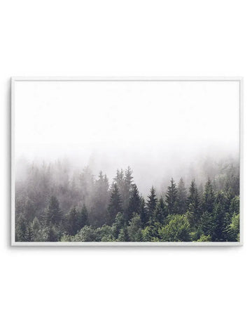 Framed photograph of a misty forest scene with a white frame and white border. The composition features a dense forest of pine and evergreen trees in varying shades of dark green and grey, partially obscured by a thick layer of white mist that fills the upper half of the image.