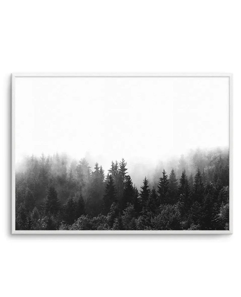 Framed black and white photograph of a misty forest scene with a white frame and white border. The composition features a dense forest of pine trees shrouded in a thick fog, creating a moody and atmospheric landscape.