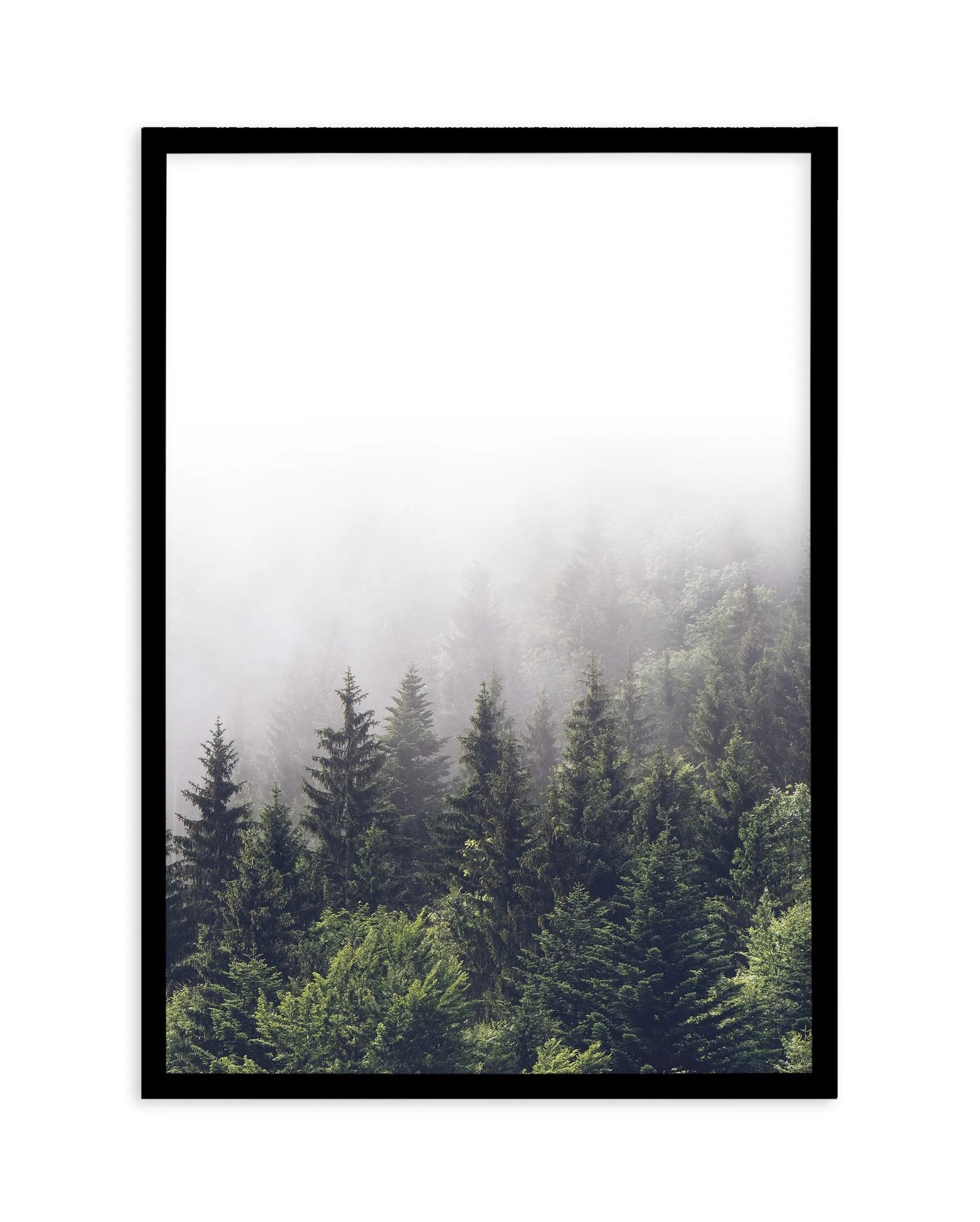 La ForâˆšÂ¢Ã€Ãœâ‰ˆÂ°âˆšÃ‰â€šÃ„âˆžâˆšÂ¢Ã€Ãœâ€šÃ„â€ âˆšÃ‰Â¬â‰ âˆšÂ¢Ã€Ãœâ‰ˆÂ°âˆšÃ‰â‰ˆÃ¬âˆšÂ¢â€šÃ‡Â¨â‰ˆÂ°âˆšÃ‰â€šÃ„Ã»âˆšÃ‰Â¬Â¥âˆšÂ¢Ã€Ãœâ‰ˆÂ°âˆšÃ‰â€šÃ„âˆžâˆšÂ¢â€šÃ‡Â¨â‰ˆÂ°âˆšÃ‰â€šÃ„Ã»âˆšÃ‰Â¬âˆ‚âˆšÂ¢Ã€Ãœâ‰ˆÂ°âˆšÃ‰â€šÃ„Â°âˆšÃ‡Â¬Â¨âˆšÂ¢â€šÃ„Ã»Â¬Â¢t | Portrait - Olive et Oriel | Shop Art Prints & Posters Online