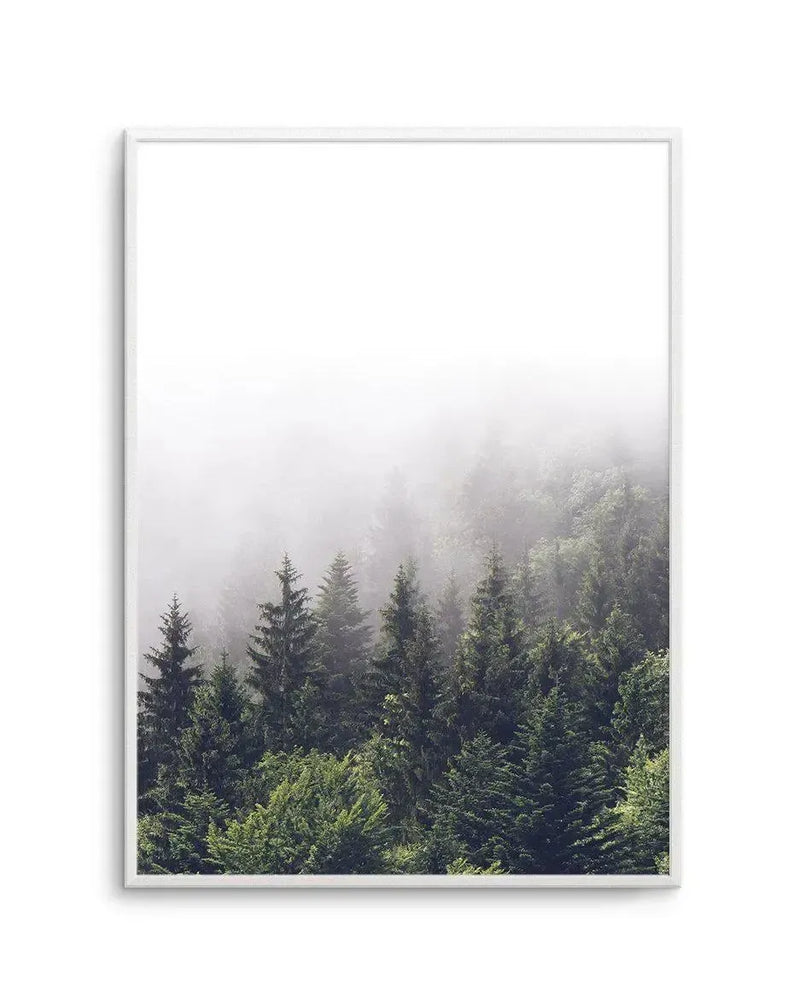 Framed photography art print featuring a dense forest of pine trees shrouded in a thick, atmospheric mist, with a white frame and white border. The lower half of the image shows the dark green treetops, while the upper half fades into a soft, ethereal white fog.