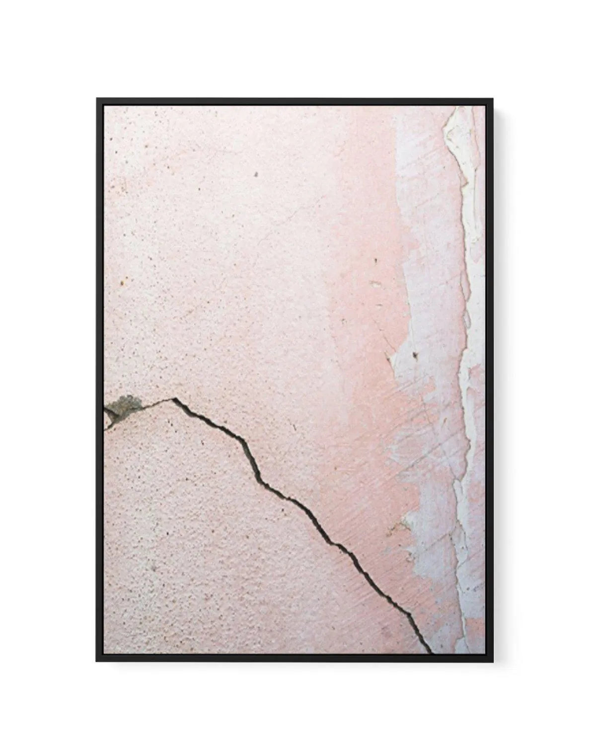 La Rose Mur | Framed Canvas-CANVAS-You can shop wall art online with Olive et Oriel for everything from abstract art to fun kids wall art. Our beautiful modern art prints and canvas art are available from large canvas prints to wall art paintings and our proudly Australian artwork collection offers only the highest quality framed large wall art and canvas art Australia - You can buy fashion photography prints or Hampton print posters and paintings on canvas from Olive et Oriel and have them deli