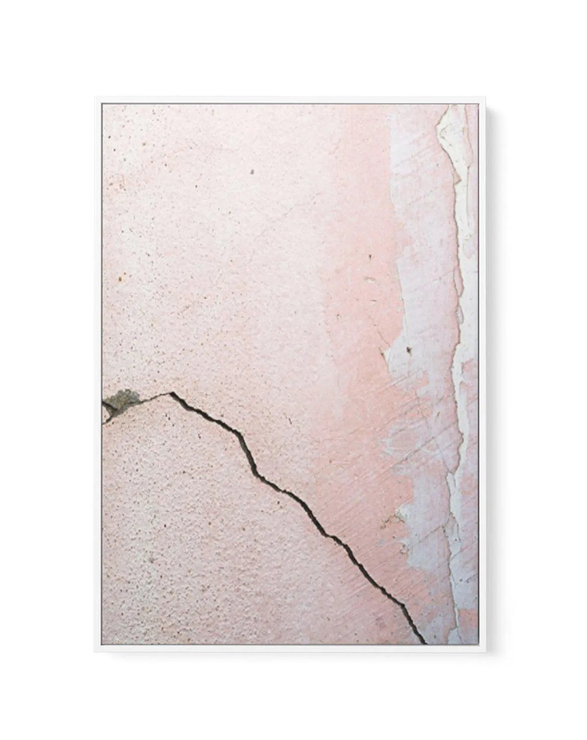 La Rose Mur | Framed Canvas-CANVAS-You can shop wall art online with Olive et Oriel for everything from abstract art to fun kids wall art. Our beautiful modern art prints and canvas art are available from large canvas prints to wall art paintings and our proudly Australian artwork collection offers only the highest quality framed large wall art and canvas art Australia - You can buy fashion photography prints or Hampton print posters and paintings on canvas from Olive et Oriel and have them deli