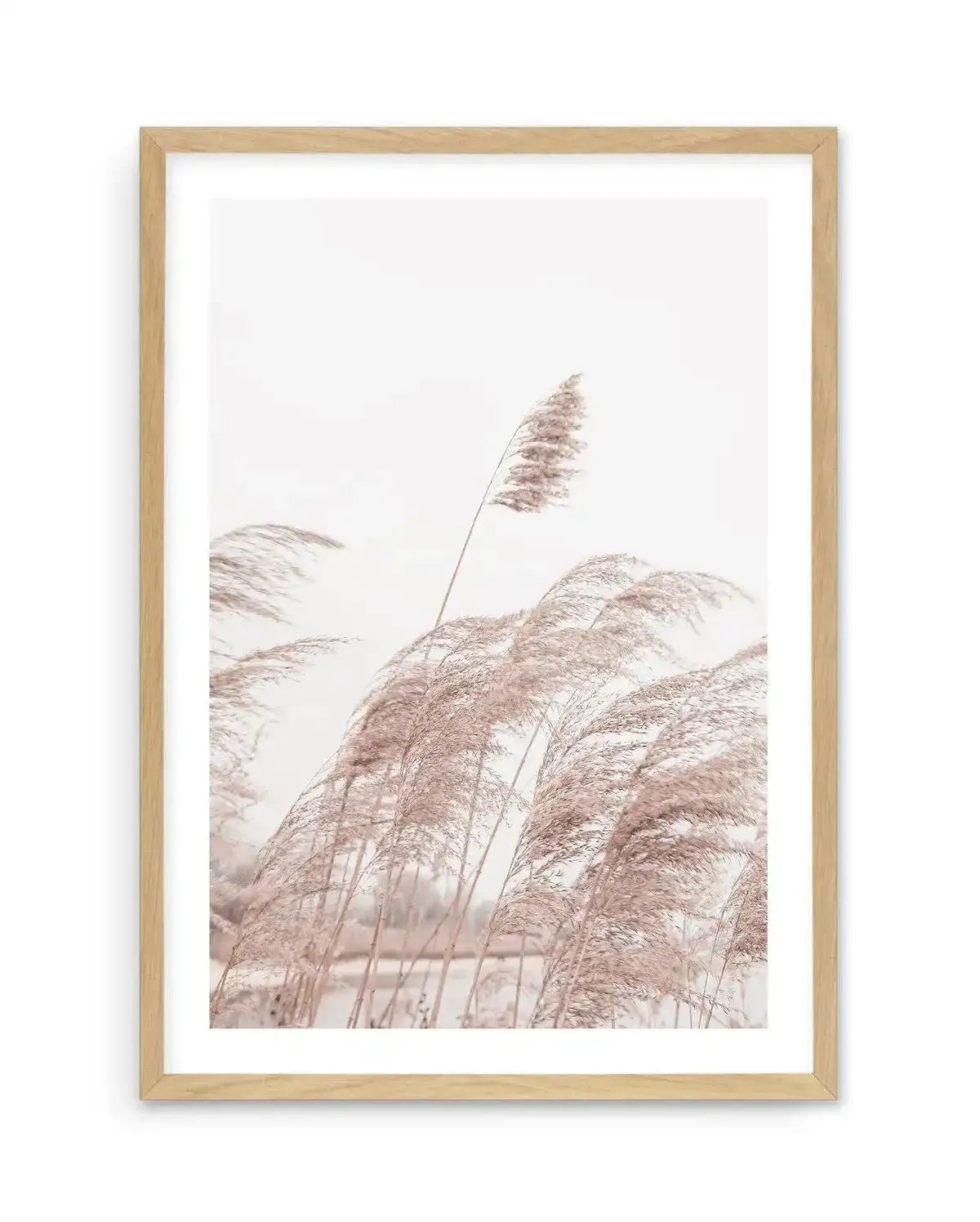 Lakeside Pampas I Art Print-PRINT-Olive et Oriel-Olive et Oriel-A5 | 5.8" x 8.3" | 14.8 x 21cm-Oak-With White Border-Buy-Australian-Art-Prints-Online-with-Olive-et-Oriel-Your-Artwork-Specialists-Austrailia-Decorate-With-Coastal-Photo-Wall-Art-Prints-From-Our-Beach-House-Artwork-Collection-Fine-Poster-and-Framed-Artwork