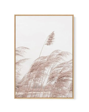 Framed canvas art print titled Lakeside Pampas I featuring a soft, muted photograph of dried pampas grass in warm beige and taupe tones. Multiple feathery plumes bend gracefully in the composition, with some in sharp focus in the foreground and others softly blurred in the background, creating depth. A misty, overcast sky in pale cream occupies the upper portion. The canvas is mounted in a natural wood frame with a white border.