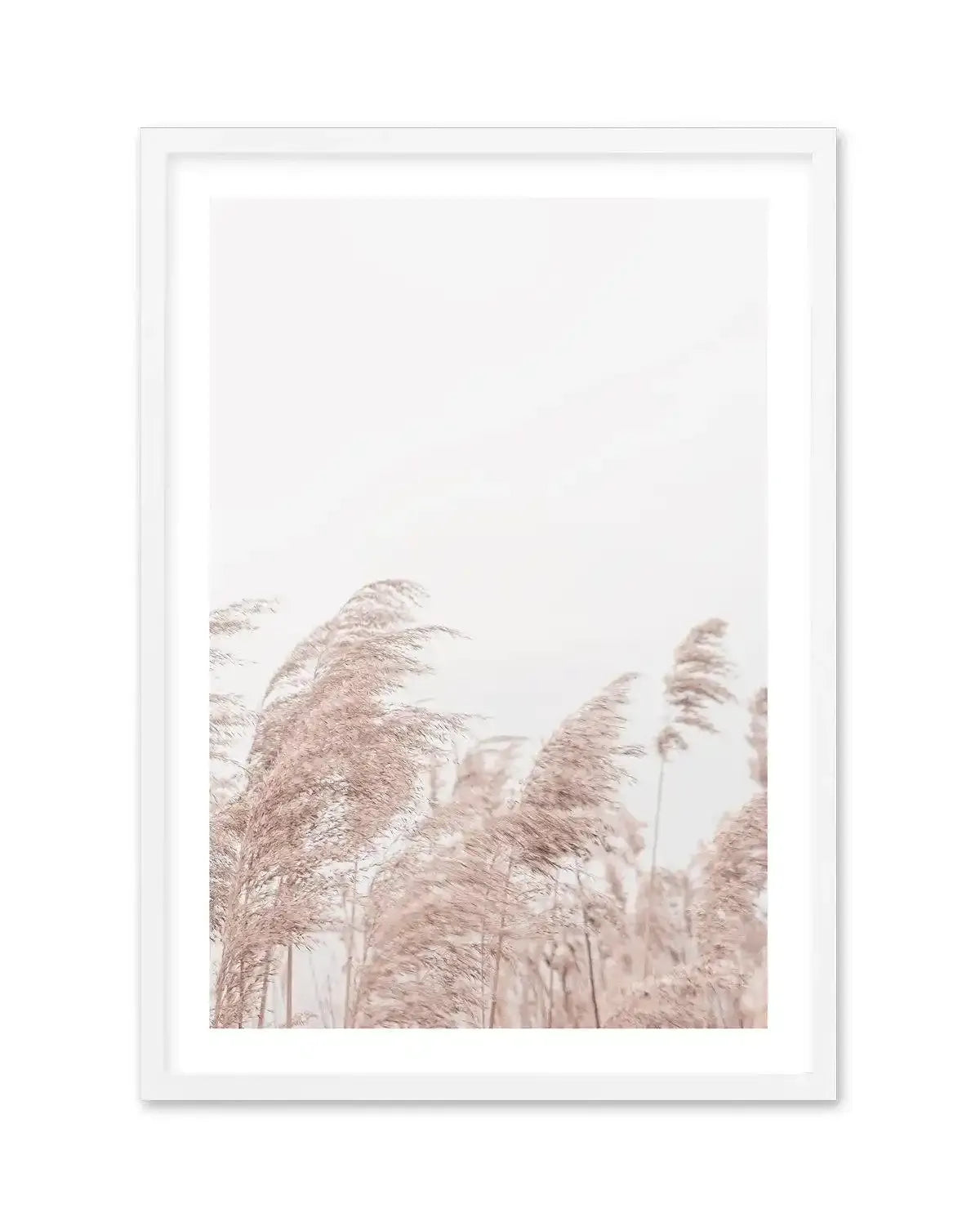 Lakeside Pampas II Art Print-PRINT-Olive et Oriel-Olive et Oriel-A5 | 5.8" x 8.3" | 14.8 x 21cm-White-With White Border-Buy-Australian-Art-Prints-Online-with-Olive-et-Oriel-Your-Artwork-Specialists-Austrailia-Decorate-With-Coastal-Photo-Wall-Art-Prints-From-Our-Beach-House-Artwork-Collection-Fine-Poster-and-Framed-Artwork