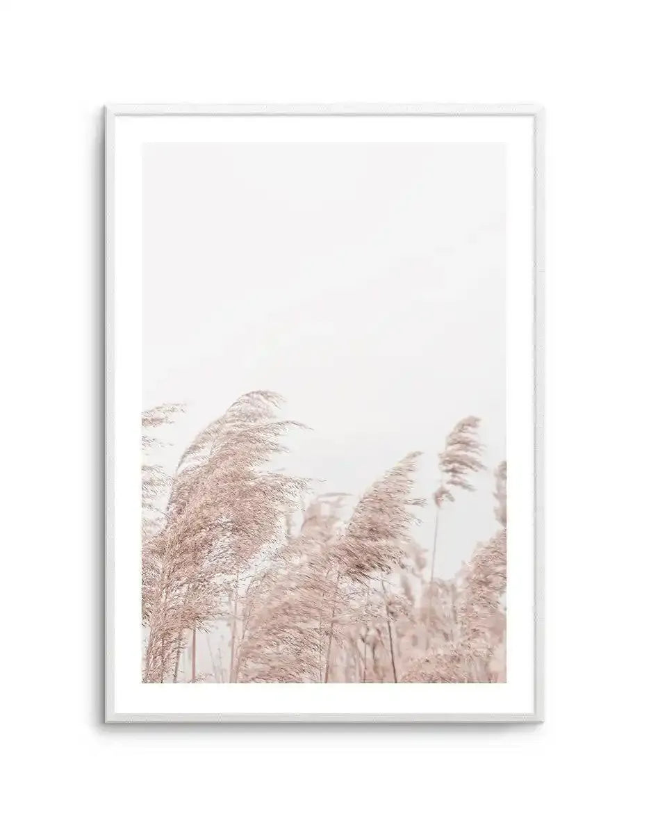Lakeside Pampas II Art Print-PRINT-Olive et Oriel-Olive et Oriel-A5 | 5.8" x 8.3" | 14.8 x 21cm-Unframed Art Print-With White Border-Buy-Australian-Art-Prints-Online-with-Olive-et-Oriel-Your-Artwork-Specialists-Austrailia-Decorate-With-Coastal-Photo-Wall-Art-Prints-From-Our-Beach-House-Artwork-Collection-Fine-Poster-and-Framed-Artwork