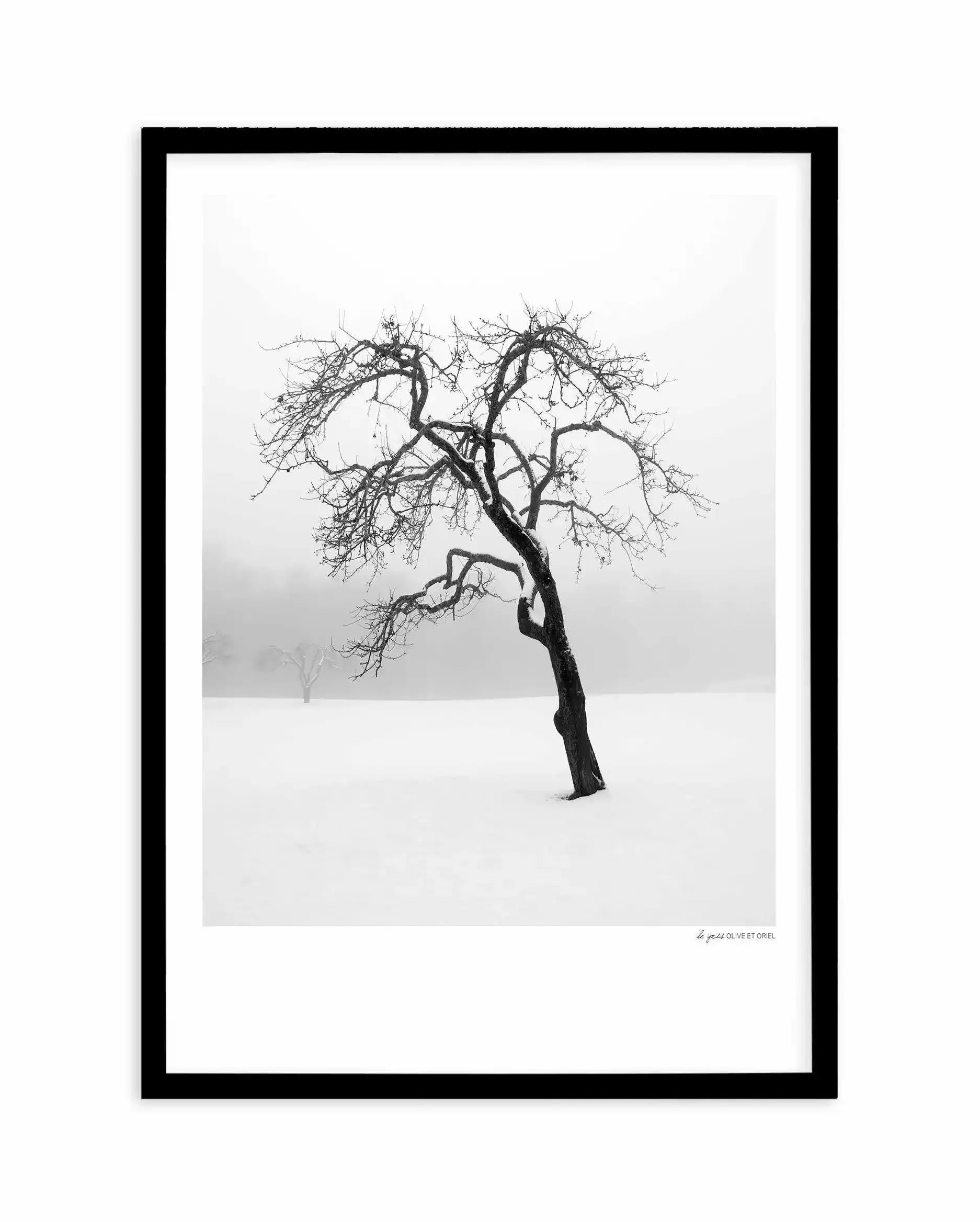 Le Gris Art Print-PRINT-Olive et Oriel-Olive et Oriel-A5 | 5.8" x 8.3" | 14.8 x 21cm-Black-With White Border-Buy-Australian-Art-Prints-Online-with-Olive-et-Oriel-Your-Artwork-Specialists-Austrailia-Decorate-With-Coastal-Photo-Wall-Art-Prints-From-Our-Beach-House-Artwork-Collection-Fine-Poster-and-Framed-Artwork