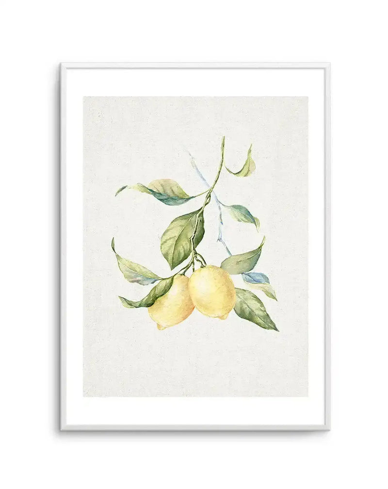 Watercolour art print featuring a branch with two lemons and green leaves on a light cream background, printed on fine art paper and displayed in a white frame with white border.