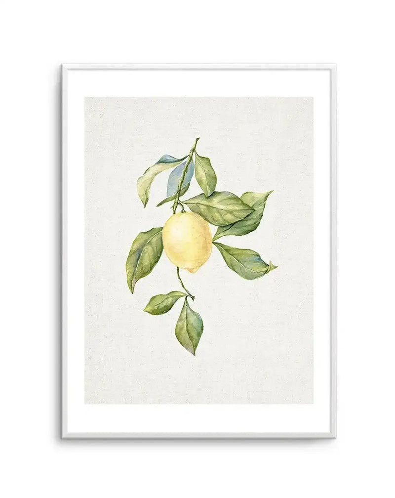 Watercolour art print featuring a single lemon on a branch with green leaves, printed on fine art paper and displayed in a white frame with white border. The lemon is a soft yellow, and the leaves are a mix of sage green and olive green with subtle blue undertones.