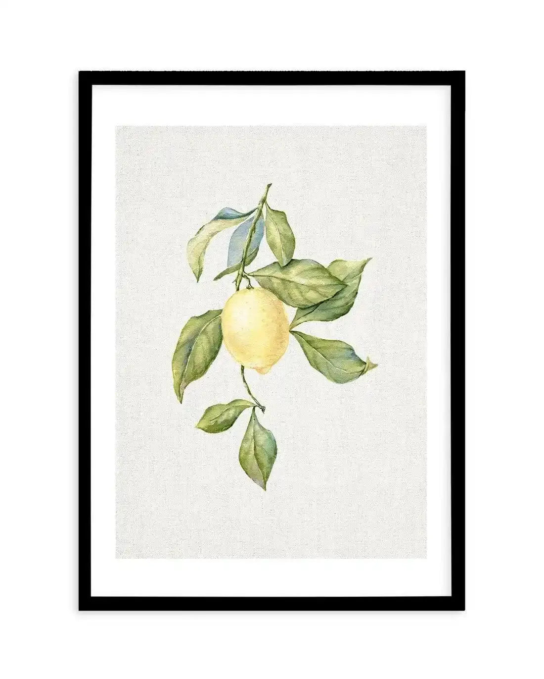 Lemons on Linen I Art Print-PRINT-Olive et Oriel-Olive et Oriel-A5 | 5.8" x 8.3" | 14.8 x 21cm-Black-With White Border-Buy-Australian-Art-Prints-Online-with-Olive-et-Oriel-Your-Artwork-Specialists-Austrailia-Decorate-With-Coastal-Photo-Wall-Art-Prints-From-Our-Beach-House-Artwork-Collection-Fine-Poster-and-Framed-Artwork