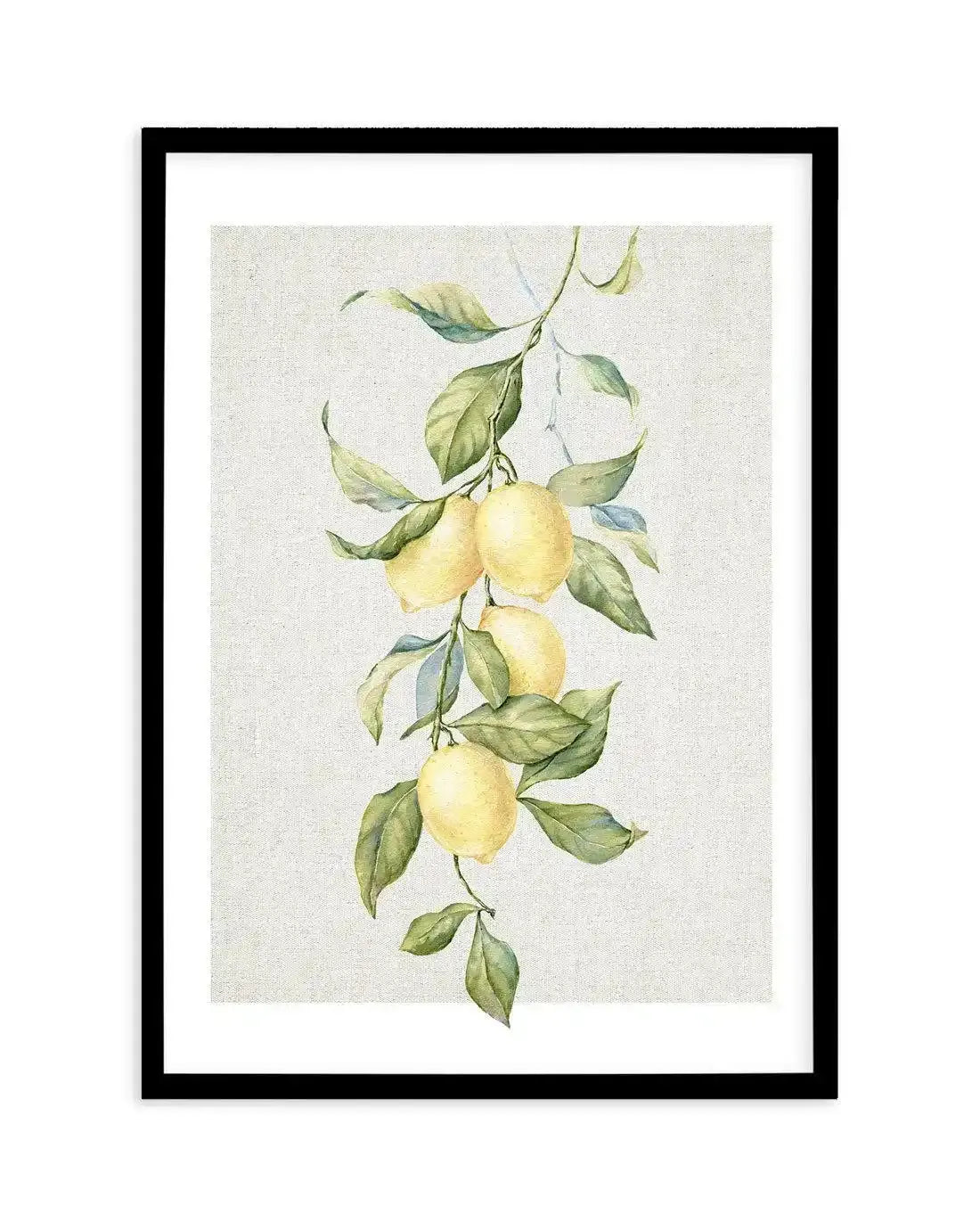 Lemons on Linen II Art Print-PRINT-Olive et Oriel-Olive et Oriel-A5 | 5.8" x 8.3" | 14.8 x 21cm-Black-With White Border-Buy-Australian-Art-Prints-Online-with-Olive-et-Oriel-Your-Artwork-Specialists-Austrailia-Decorate-With-Coastal-Photo-Wall-Art-Prints-From-Our-Beach-House-Artwork-Collection-Fine-Poster-and-Framed-Artwork