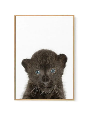 Framed canvas art print featuring a close-up portrait of a young black leopard cub against a white background. The cub has striking pale blue-grey eyes, rounded ears, and detailed whiskers rendered in photorealistic style. The fur is rendered in deep charcoal and black tones with fine texture detail. The canvas is mounted in a natural wood frame with a thin border, displayed vertically in portrait orientation.
