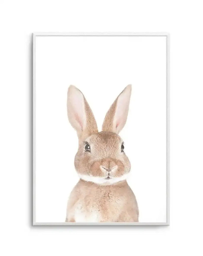 Framed photography art print of a baby rabbit with soft brown fur and large upright ears, captured against a pure white background. The rabbit's face is in sharp focus, with dark eyes looking forward and a small pink nose, displayed in a white frame with white border.