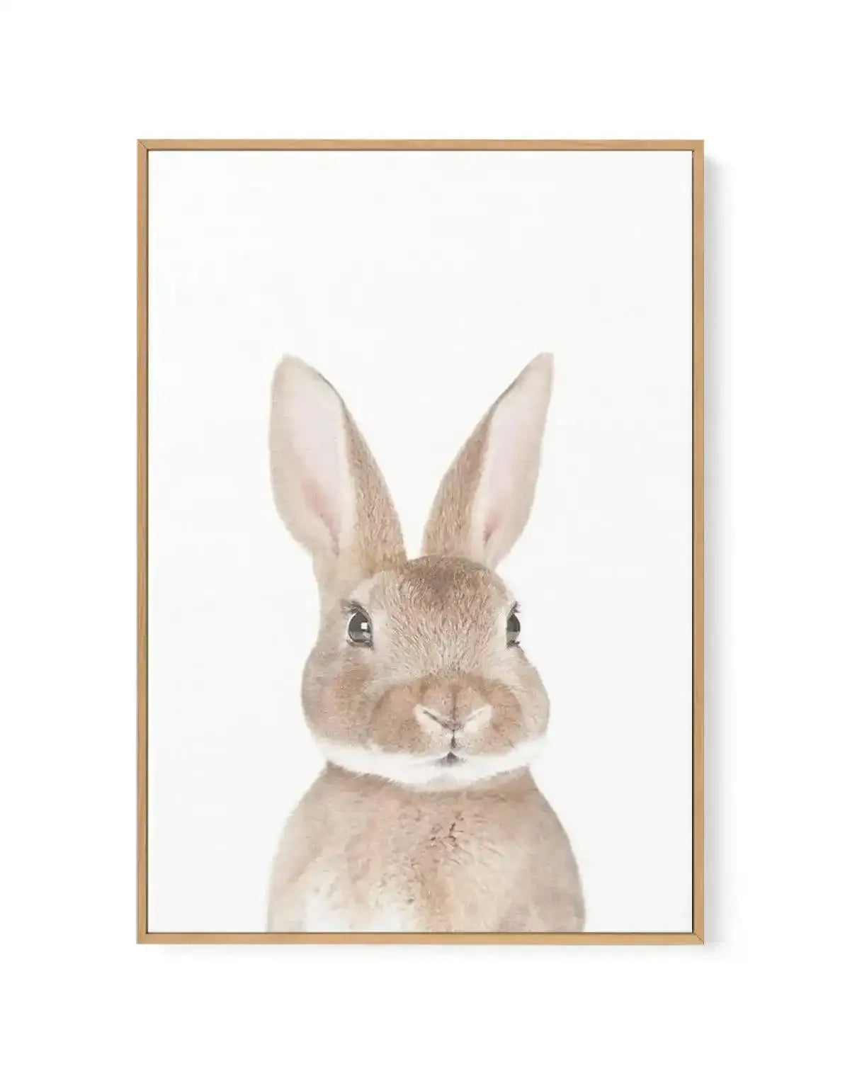 Little Bunny | Framed Canvas-CANVAS-You can shop wall art online with Olive et Oriel for everything from abstract art to fun kids wall art. Our beautiful modern art prints and canvas art are available from large canvas prints to wall art paintings and our proudly Australian artwork collection offers only the highest quality framed large wall art and canvas art Australia - You can buy fashion photography prints or Hampton print posters and paintings on canvas from Olive et Oriel and have them del