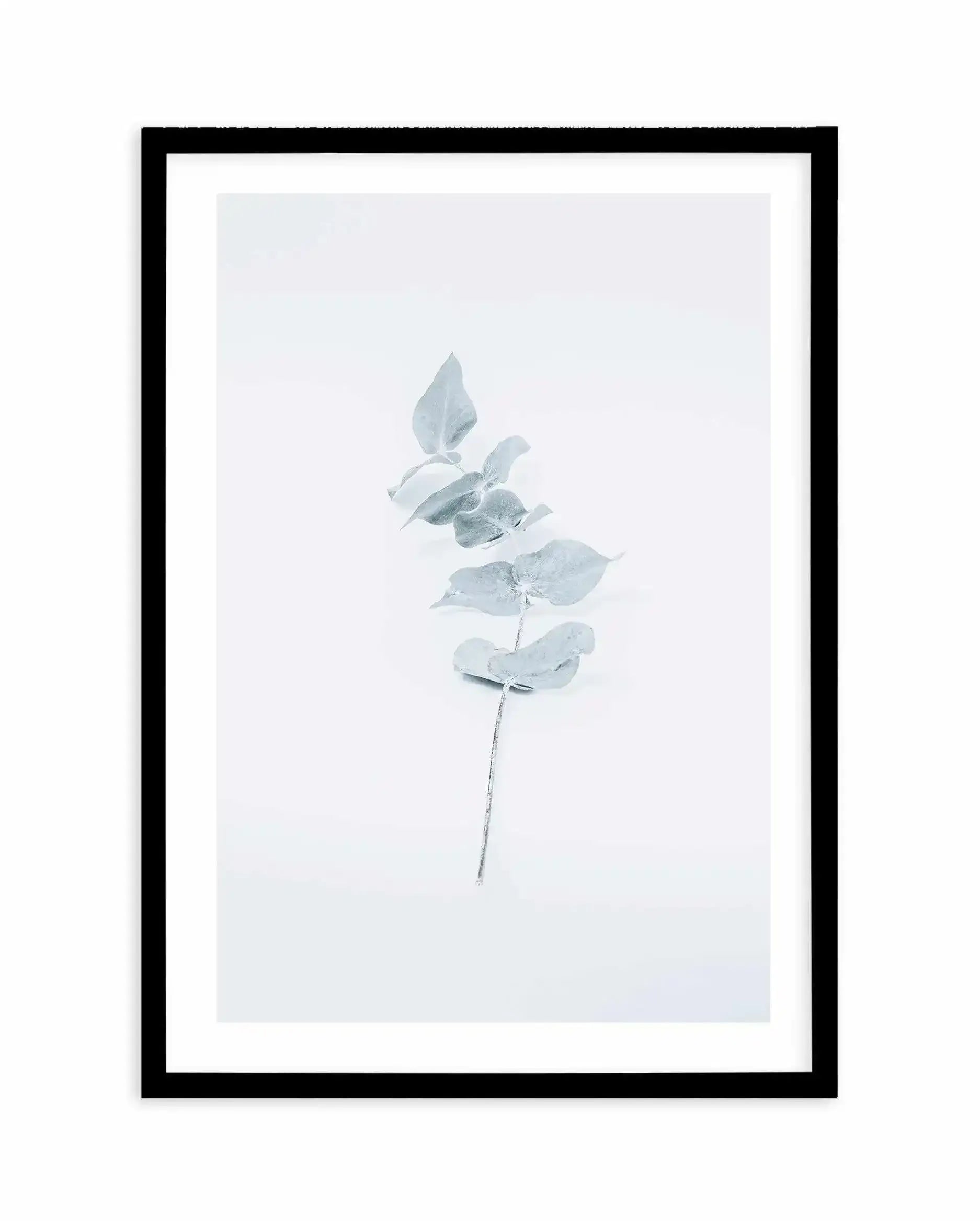 Little Eucalyptus Art Print-PRINT-Olive et Oriel-Olive et Oriel-A4 | 8.3" x 11.7" | 21 x 29.7cm-Black-With White Border-Buy-Australian-Art-Prints-Online-with-Olive-et-Oriel-Your-Artwork-Specialists-Austrailia-Decorate-With-Coastal-Photo-Wall-Art-Prints-From-Our-Beach-House-Artwork-Collection-Fine-Poster-and-Framed-Artwork