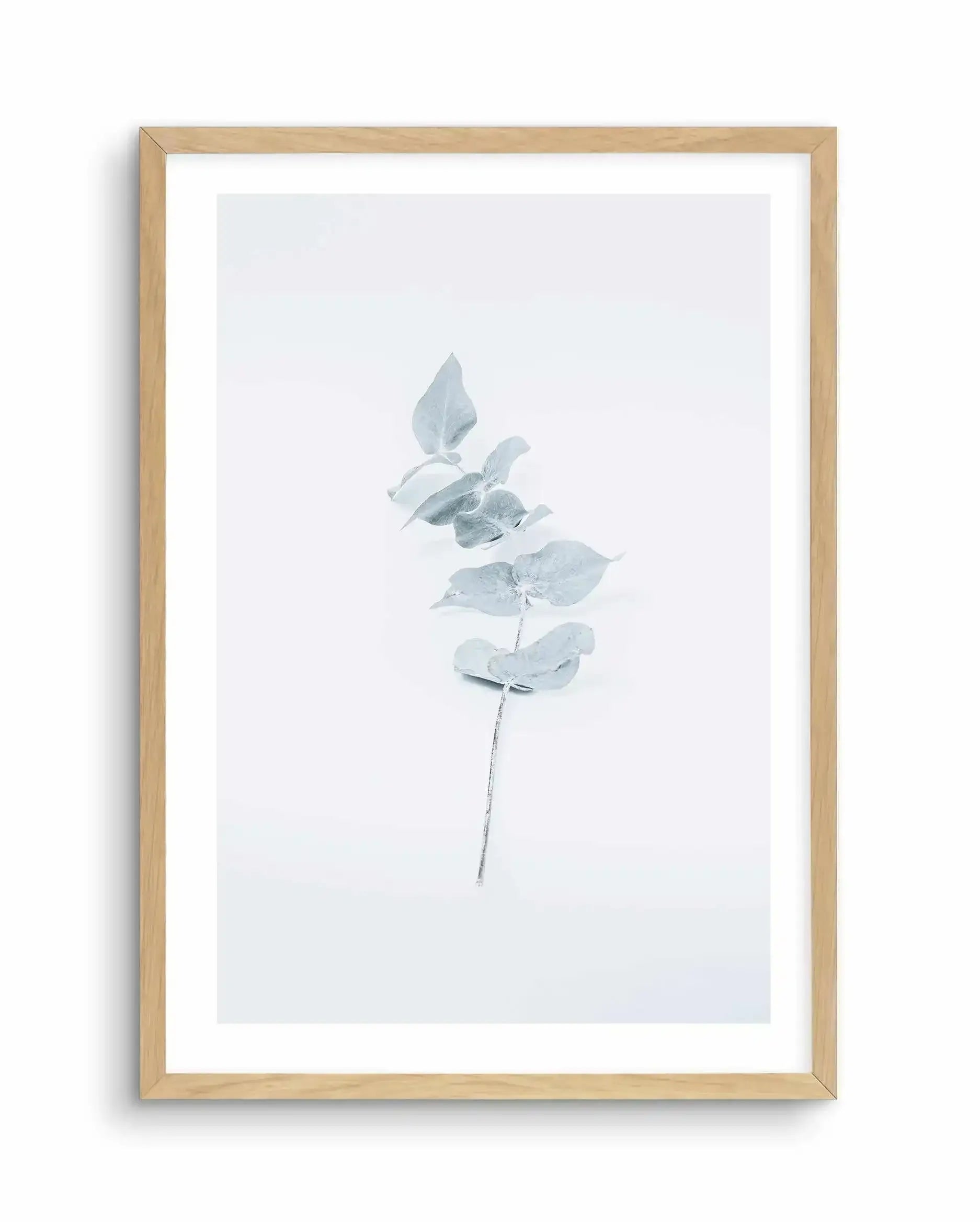 Little Eucalyptus Art Print-PRINT-Olive et Oriel-Olive et Oriel-A4 | 8.3" x 11.7" | 21 x 29.7cm-Oak-With White Border-Buy-Australian-Art-Prints-Online-with-Olive-et-Oriel-Your-Artwork-Specialists-Austrailia-Decorate-With-Coastal-Photo-Wall-Art-Prints-From-Our-Beach-House-Artwork-Collection-Fine-Poster-and-Framed-Artwork