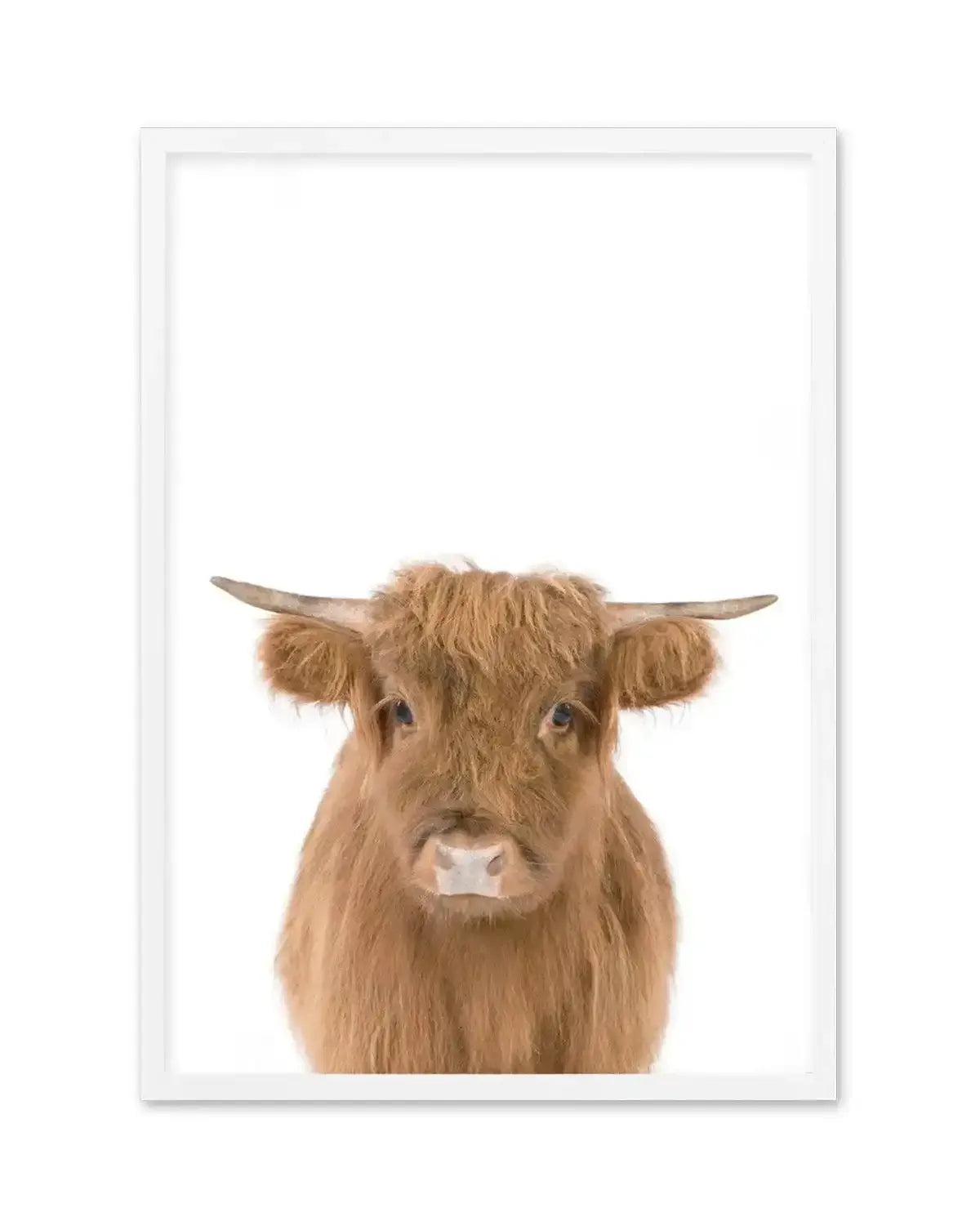 Little Highlander Cow Art Print-PRINT-Olive et Oriel-Olive et Oriel-A5 | 5.8" x 8.3" | 14.8 x 21cm-White-With White Border-Buy-Australian-Art-Prints-Online-with-Olive-et-Oriel-Your-Artwork-Specialists-Austrailia-Decorate-With-Coastal-Photo-Wall-Art-Prints-From-Our-Beach-House-Artwork-Collection-Fine-Poster-and-Framed-Artwork