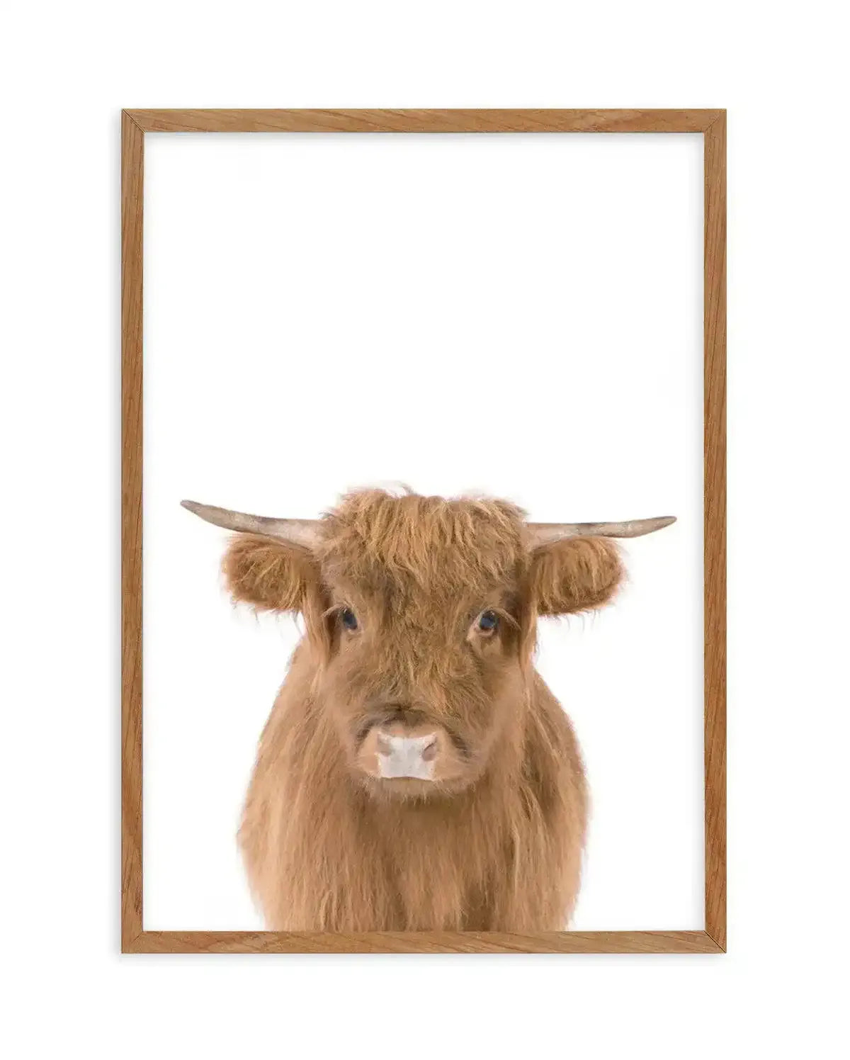 Little Highlander Cow Art Print-PRINT-Olive et Oriel-Olive et Oriel-Buy-Australian-Art-Prints-Online-with-Olive-et-Oriel-Your-Artwork-Specialists-Austrailia-Decorate-With-Coastal-Photo-Wall-Art-Prints-From-Our-Beach-House-Artwork-Collection-Fine-Poster-and-Framed-Artwork