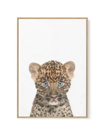 Little Leopard Cub | Framed Canvas-CANVAS-You can shop wall art online with Olive et Oriel for everything from abstract art to fun kids wall art. Our beautiful modern art prints and canvas art are available from large canvas prints to wall art paintings and our proudly Australian artwork collection offers only the highest quality framed large wall art and canvas art Australia - You can buy fashion photography prints or Hampton print posters and paintings on canvas from Olive et Oriel and have th