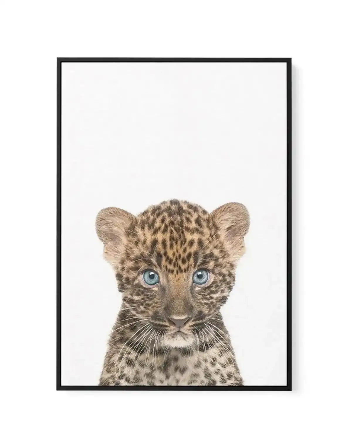 Little Leopard Cub | Framed Canvas-CANVAS-You can shop wall art online with Olive et Oriel for everything from abstract art to fun kids wall art. Our beautiful modern art prints and canvas art are available from large canvas prints to wall art paintings and our proudly Australian artwork collection offers only the highest quality framed large wall art and canvas art Australia - You can buy fashion photography prints or Hampton print posters and paintings on canvas from Olive et Oriel and have th