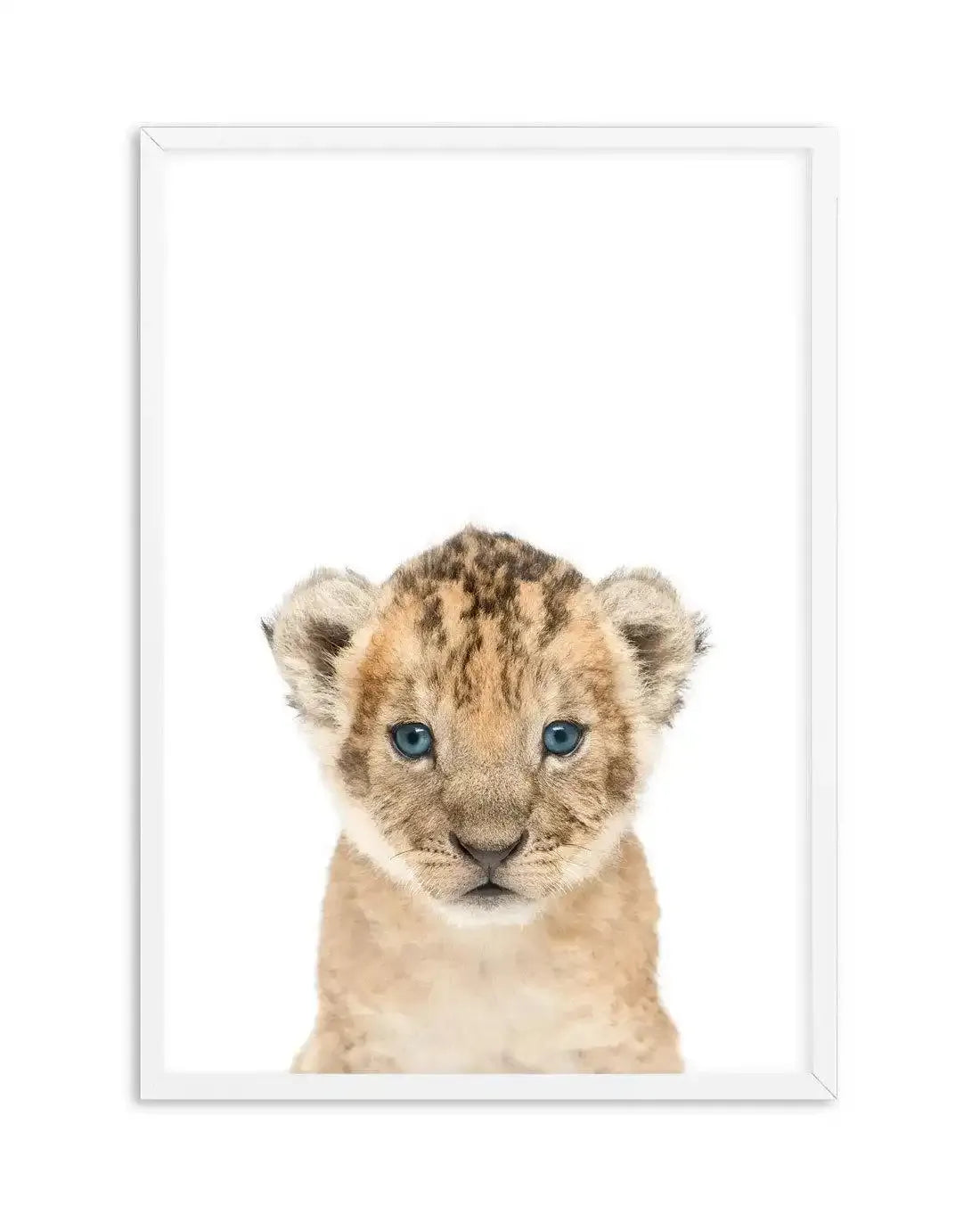 Little Lion Cub Art Print-PRINT-Olive et Oriel-Olive et Oriel-A5 | 5.8" x 8.3" | 14.8 x 21cm-White-With White Border-Buy-Australian-Art-Prints-Online-with-Olive-et-Oriel-Your-Artwork-Specialists-Austrailia-Decorate-With-Coastal-Photo-Wall-Art-Prints-From-Our-Beach-House-Artwork-Collection-Fine-Poster-and-Framed-Artwork