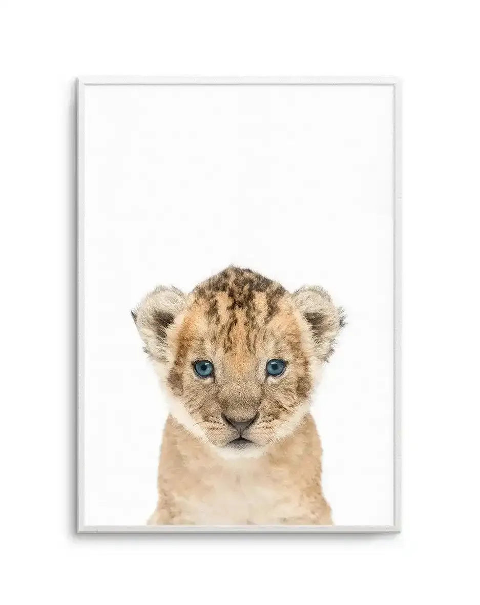 Little Lion Cub Art Print-PRINT-Olive et Oriel-Olive et Oriel-A5 | 5.8" x 8.3" | 14.8 x 21cm-Unframed Art Print-With White Border-Buy-Australian-Art-Prints-Online-with-Olive-et-Oriel-Your-Artwork-Specialists-Austrailia-Decorate-With-Coastal-Photo-Wall-Art-Prints-From-Our-Beach-House-Artwork-Collection-Fine-Poster-and-Framed-Artwork