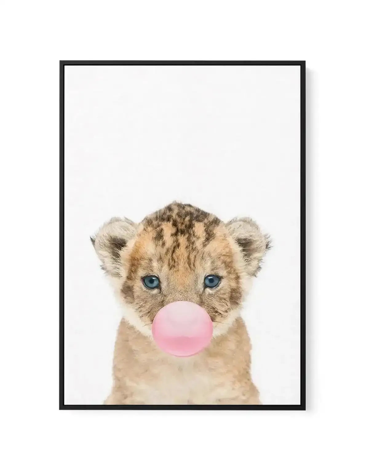 Little Lion Cub | Blowing Pink Bubble | Framed Canvas-CANVAS-You can shop wall art online with Olive et Oriel for everything from abstract art to fun kids wall art. Our beautiful modern art prints and canvas art are available from large canvas prints to wall art paintings and our proudly Australian artwork collection offers only the highest quality framed large wall art and canvas art Australia - You can buy fashion photography prints or Hampton print posters and paintings on canvas from Olive e