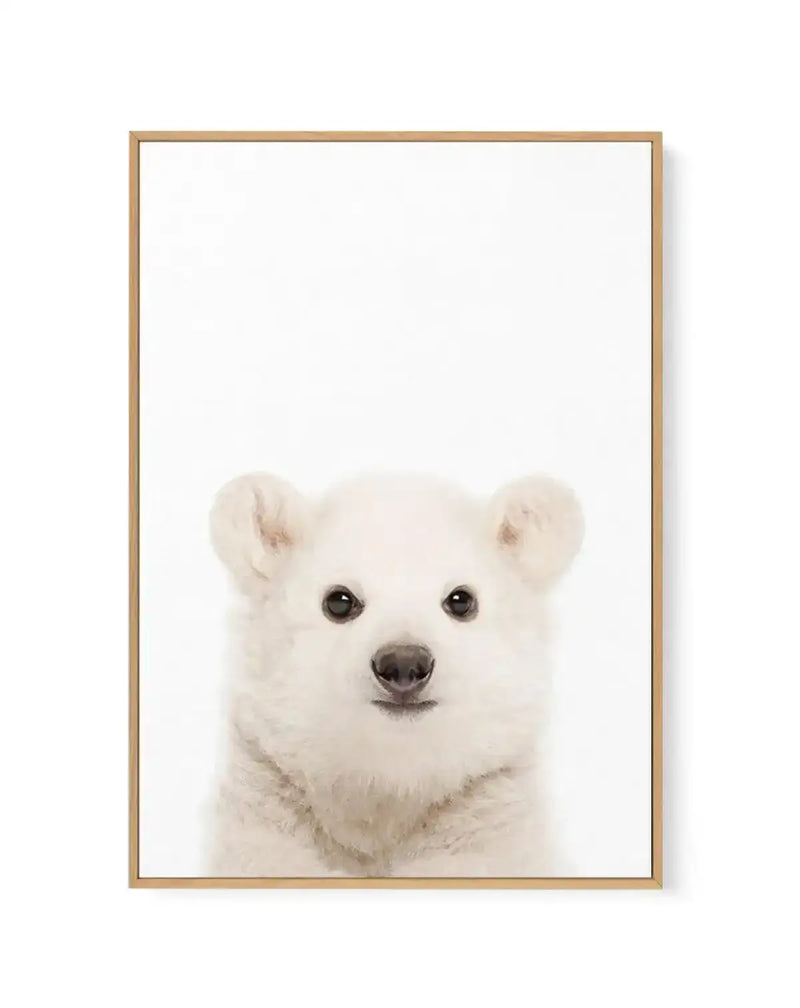 Little Polar Bear | Framed Canvas-CANVAS-You can shop wall art online with Olive et Oriel for everything from abstract art to fun kids wall art. Our beautiful modern art prints and canvas art are available from large canvas prints to wall art paintings and our proudly Australian artwork collection offers only the highest quality framed large wall art and canvas art Australia - You can buy fashion photography prints or Hampton print posters and paintings on canvas from Olive et Oriel and have the