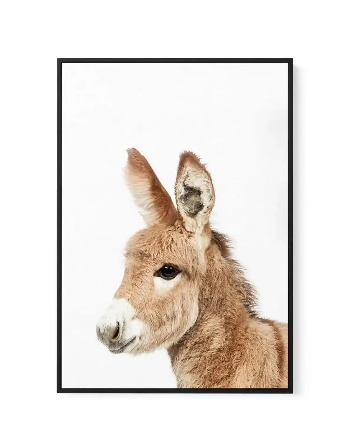 Little Pony | Framed Canvas-CANVAS-You can shop wall art online with Olive et Oriel for everything from abstract art to fun kids wall art. Our beautiful modern art prints and canvas art are available from large canvas prints to wall art paintings and our proudly Australian artwork collection offers only the highest quality framed large wall art and canvas art Australia - You can buy fashion photography prints or Hampton print posters and paintings on canvas from Olive et Oriel and have them deli