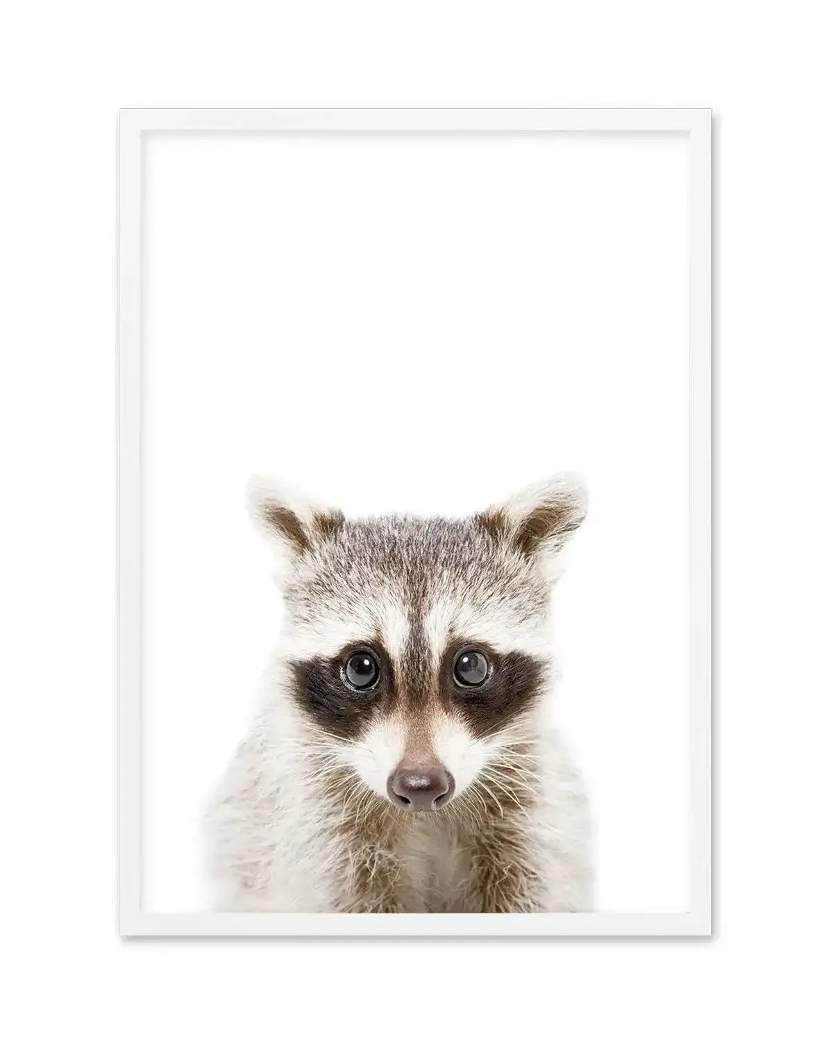 Little Raccoon Art Print-PRINT-Olive et Oriel-Olive et Oriel-A5 | 5.8" x 8.3" | 14.8 x 21cm-White-With White Border-Buy-Australian-Art-Prints-Online-with-Olive-et-Oriel-Your-Artwork-Specialists-Austrailia-Decorate-With-Coastal-Photo-Wall-Art-Prints-From-Our-Beach-House-Artwork-Collection-Fine-Poster-and-Framed-Artwork