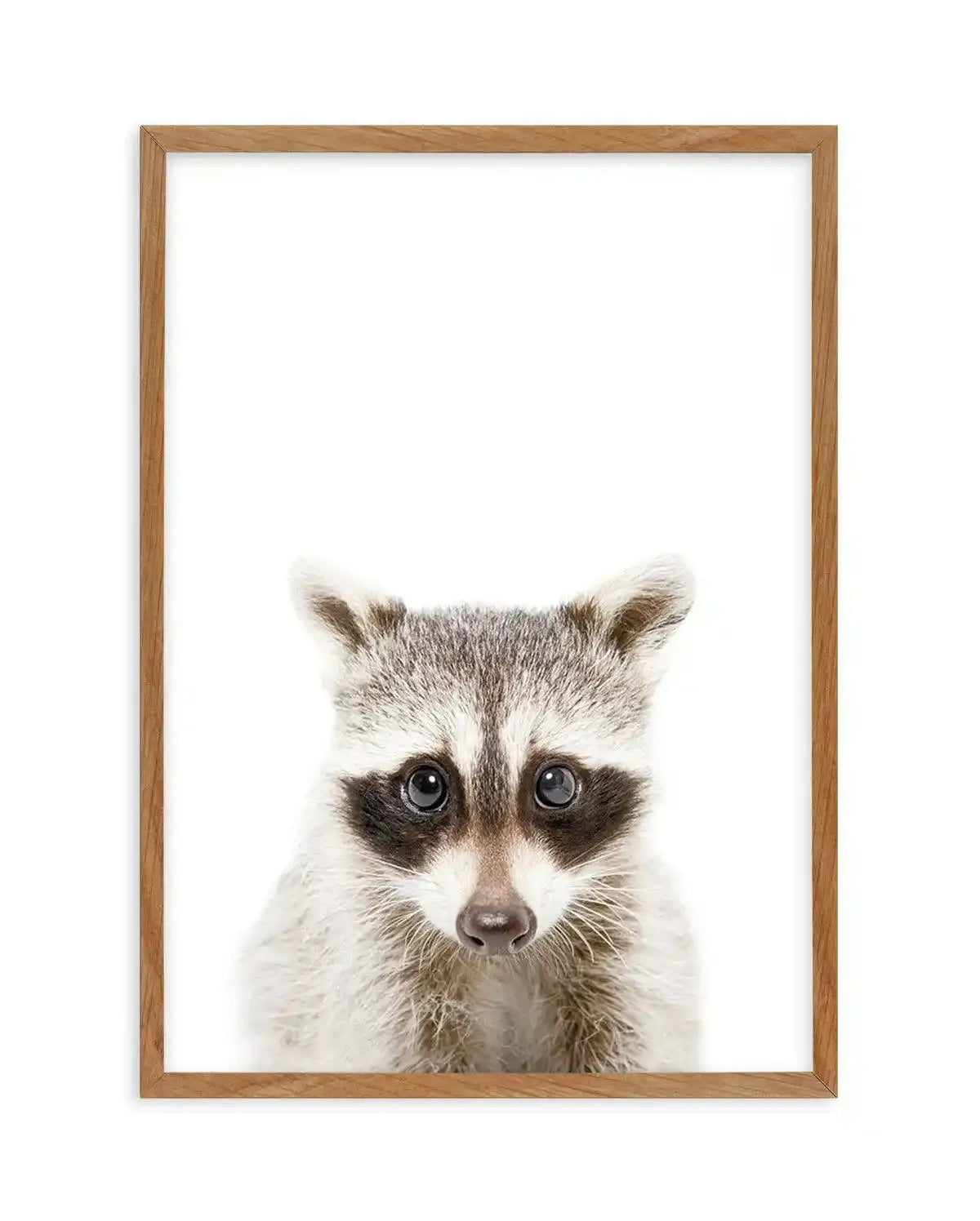 Little Raccoon Art Print-PRINT-Olive et Oriel-Olive et Oriel-Buy-Australian-Art-Prints-Online-with-Olive-et-Oriel-Your-Artwork-Specialists-Austrailia-Decorate-With-Coastal-Photo-Wall-Art-Prints-From-Our-Beach-House-Artwork-Collection-Fine-Poster-and-Framed-Artwork