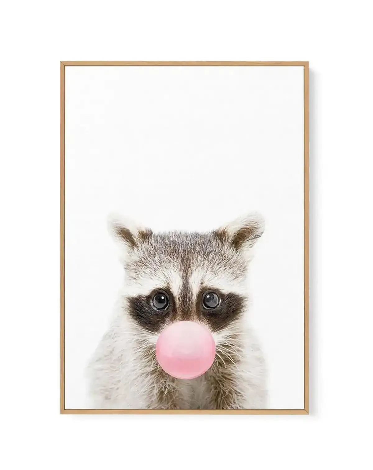Little Raccoon | Blowing Pink Bubble | Framed Canvas-CANVAS-You can shop wall art online with Olive et Oriel for everything from abstract art to fun kids wall art. Our beautiful modern art prints and canvas art are available from large canvas prints to wall art paintings and our proudly Australian artwork collection offers only the highest quality framed large wall art and canvas art Australia - You can buy fashion photography prints or Hampton print posters and paintings on canvas from Olive et
