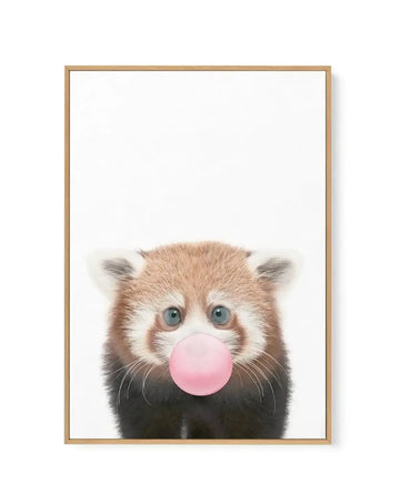 Framed canvas art print featuring a red panda with reddish-brown and white fur and blue-green eyes, blowing a large bubble gum bubble in soft pink. The panda's face fills the lower portion of the composition against a white background. Natural wood-tone frame with thin border surrounds the artwork.