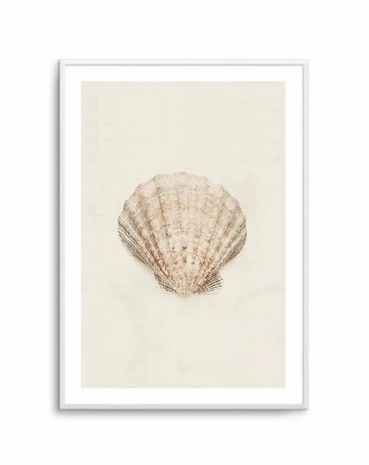 Little Seashell I Art Print-PRINT-Olive et Oriel-Olive et Oriel-A5 | 5.8" x 8.3" | 14.8 x 21cm-Unframed Art Print-With White Border-Buy-Australian-Art-Prints-Online-with-Olive-et-Oriel-Your-Artwork-Specialists-Austrailia-Decorate-With-Coastal-Photo-Wall-Art-Prints-From-Our-Beach-House-Artwork-Collection-Fine-Poster-and-Framed-Artwork