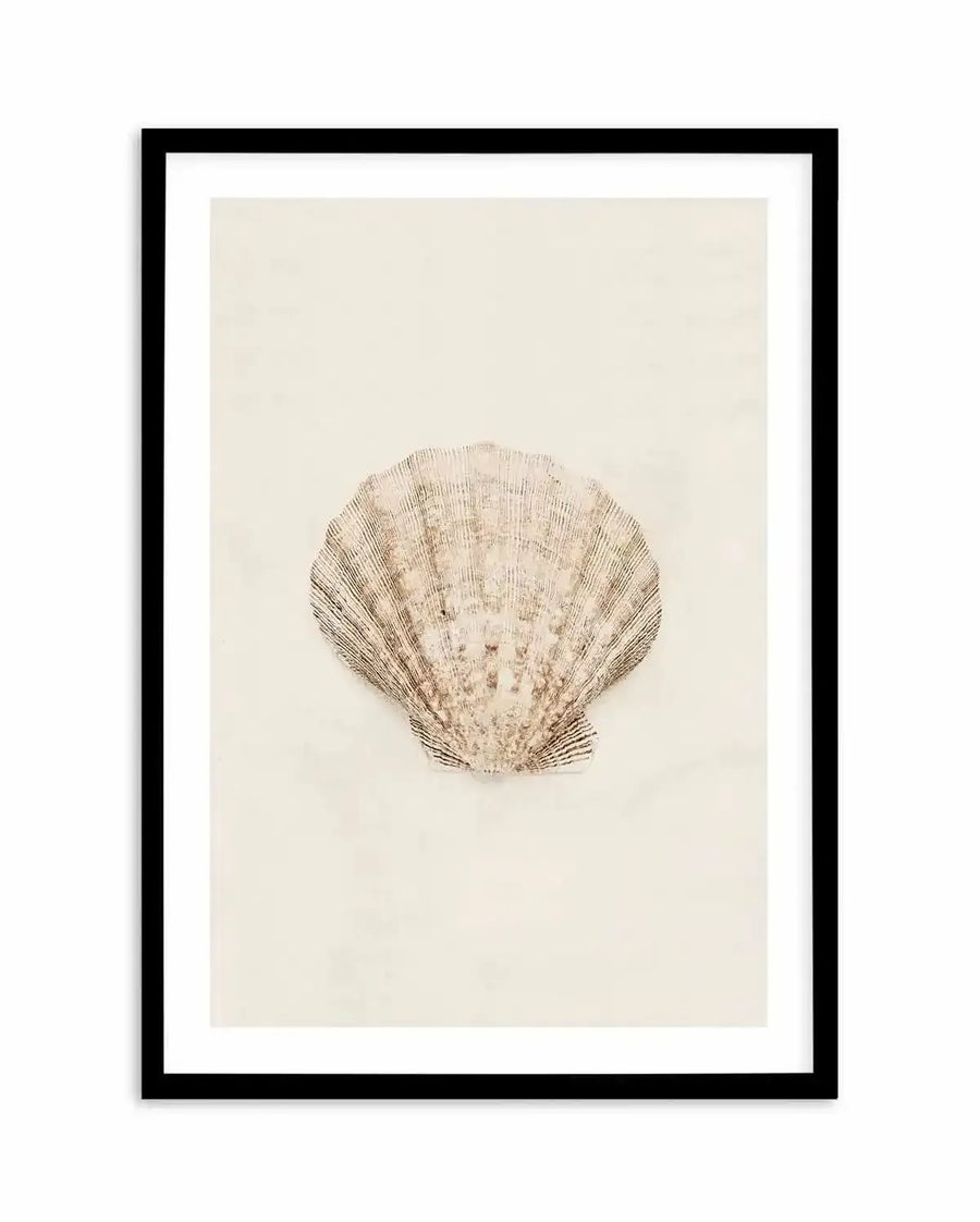 Art print featuring a detailed illustration of a scallop seashell in muted beige and brown tones with visible ridged texture, set against a warm cream background, displayed in a black frame with white border.