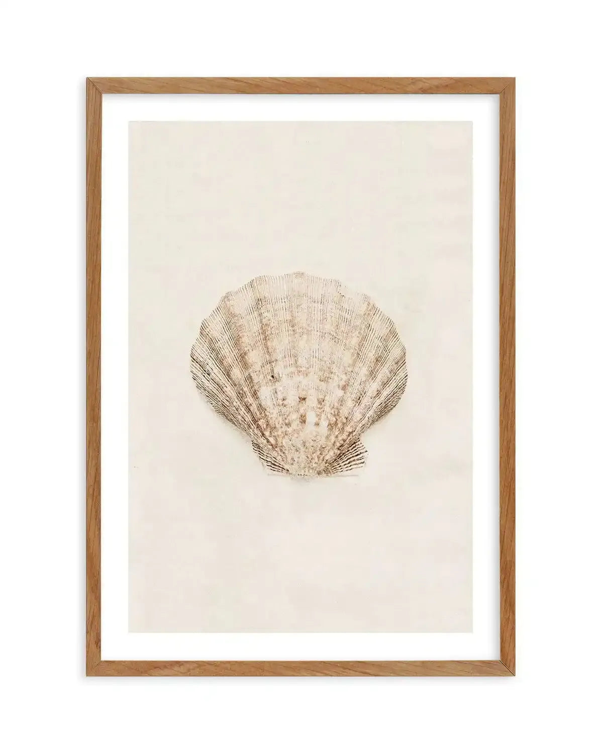 Little Seashell I Art Print-PRINT-Olive et Oriel-Olive et Oriel-Buy-Australian-Art-Prints-Online-with-Olive-et-Oriel-Your-Artwork-Specialists-Austrailia-Decorate-With-Coastal-Photo-Wall-Art-Prints-From-Our-Beach-House-Artwork-Collection-Fine-Poster-and-Framed-Artwork