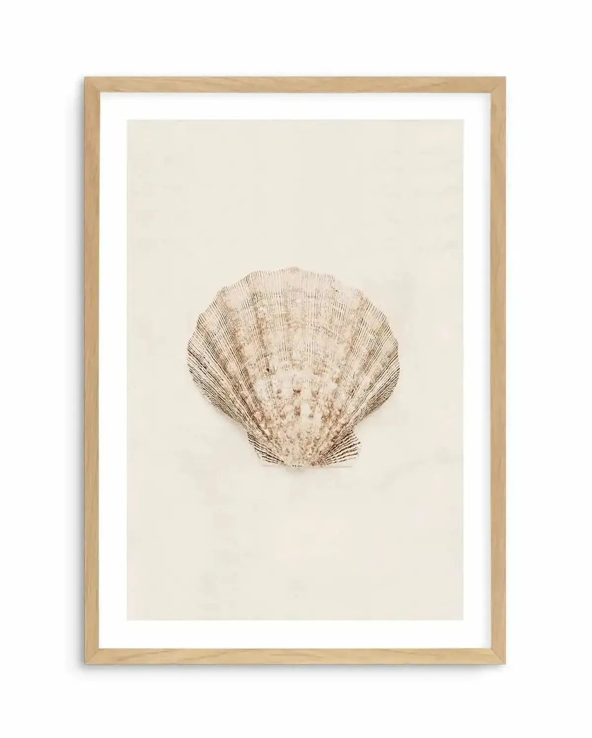Little Seashell I Art Print-PRINT-Olive et Oriel-Olive et Oriel-A5 | 5.8" x 8.3" | 14.8 x 21cm-Oak-With White Border-Buy-Australian-Art-Prints-Online-with-Olive-et-Oriel-Your-Artwork-Specialists-Austrailia-Decorate-With-Coastal-Photo-Wall-Art-Prints-From-Our-Beach-House-Artwork-Collection-Fine-Poster-and-Framed-Artwork