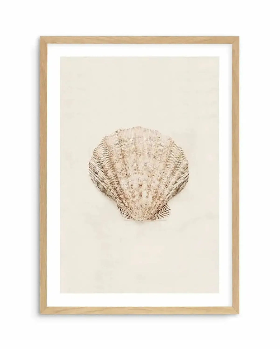 Watercolour art print featuring a detailed illustration of a seashell with delicate ridged texture in shades of beige and light brown on a cream background, printed on fine art paper and displayed in a natural oak frame with white border.